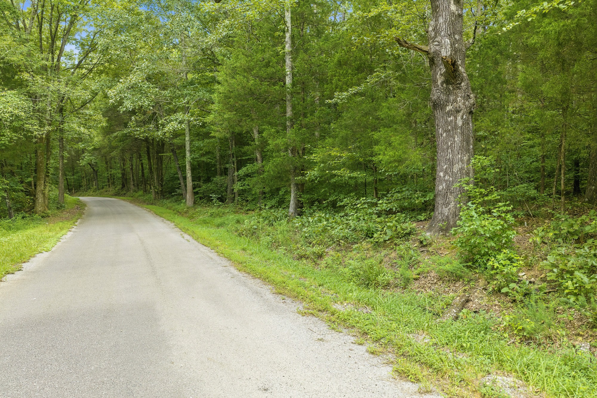 0 Utley Road Camden, TN 38320 - Photo 9 of 31 Gallery Image 9
