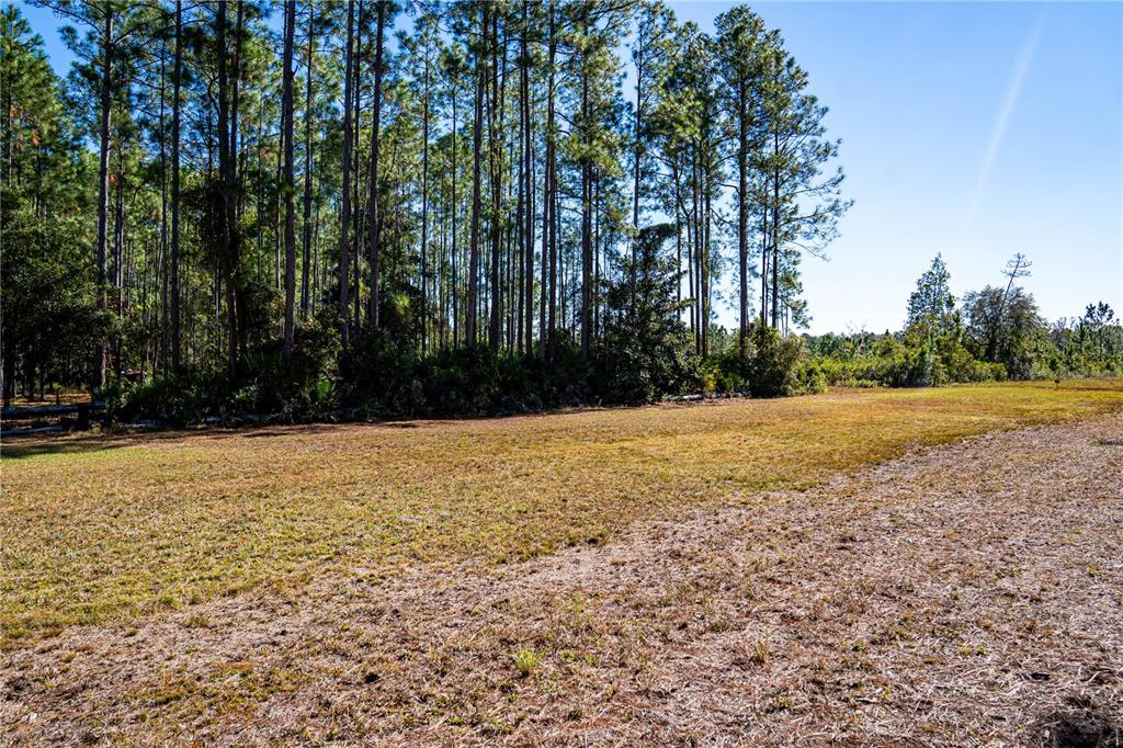 132 Nutmeg Trail Interlachen, FL 32148 - Photo 95 of 100