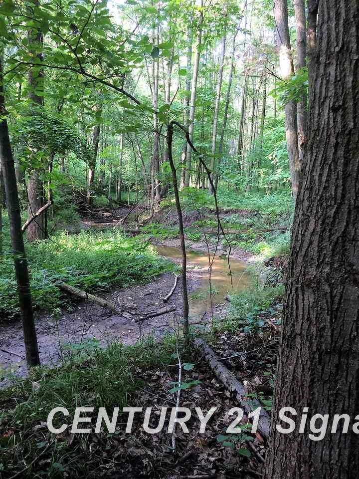 13800 Spencer Road Hemlock, MI 48626 - Photo 14 of 15