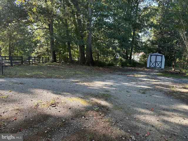 a view of a yard with trees