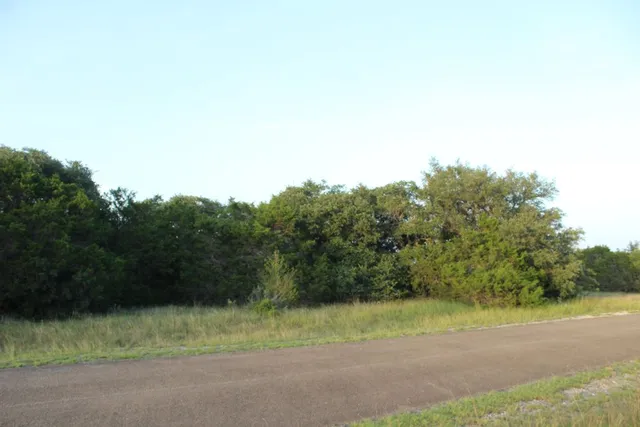 a view of a field with a tree