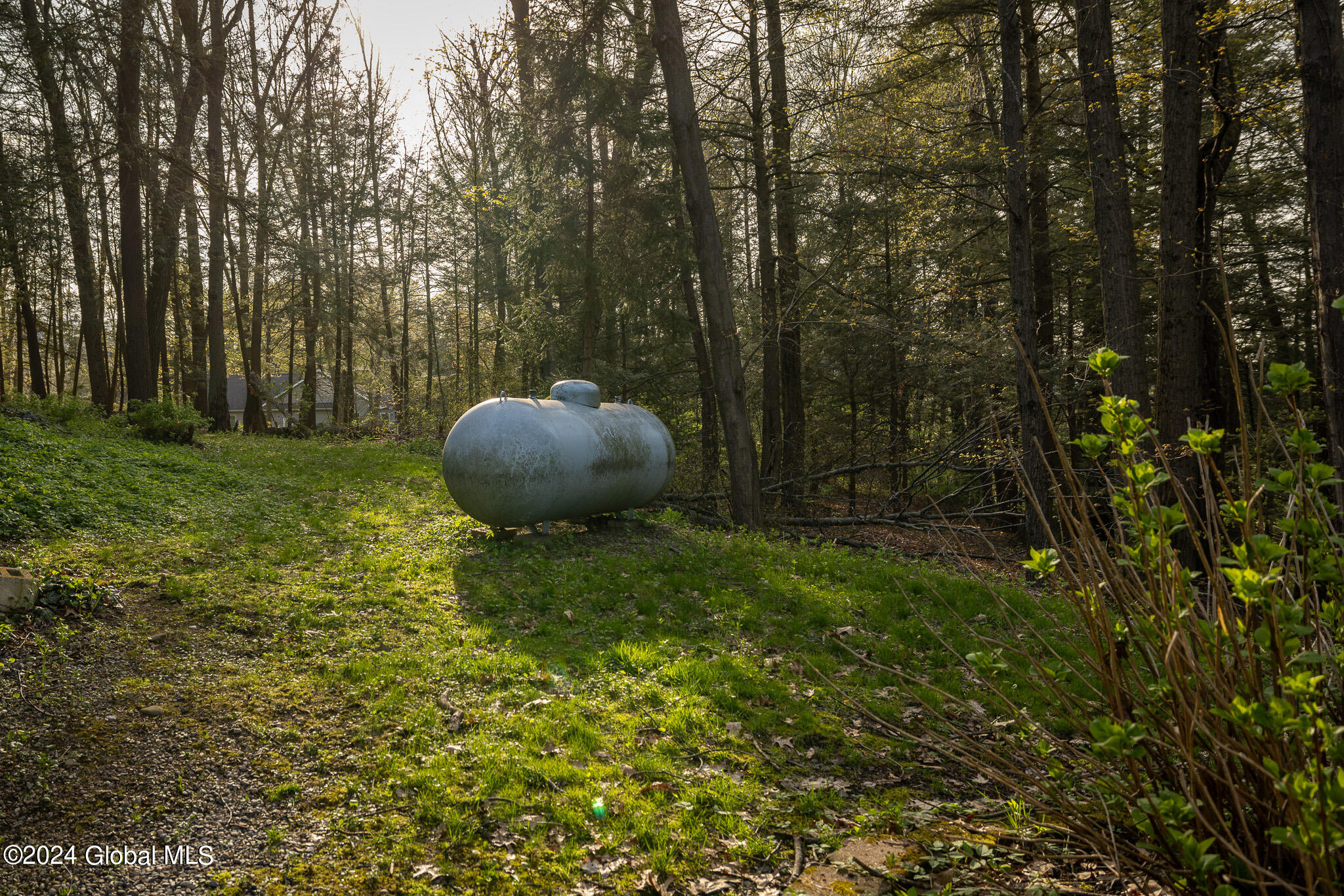 86 Koonz Road New Scotland, NY 12186 - Photo 55 of 62 IMG_2682