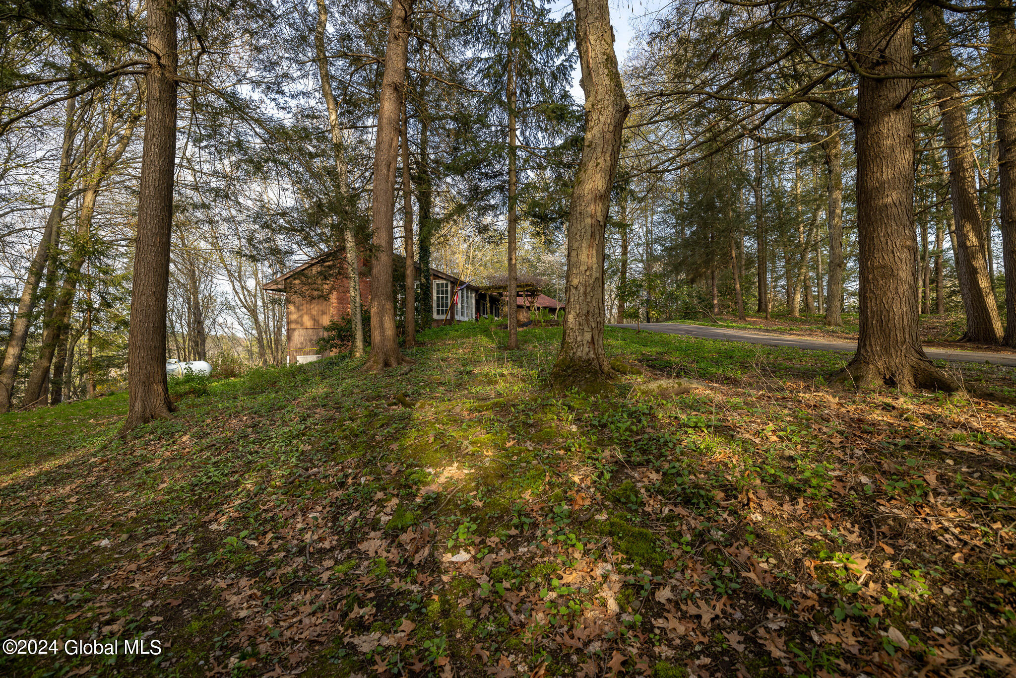 86 Koonz Road New Scotland, NY 12186 - Photo 56 of 62 IMG_2697-Edit