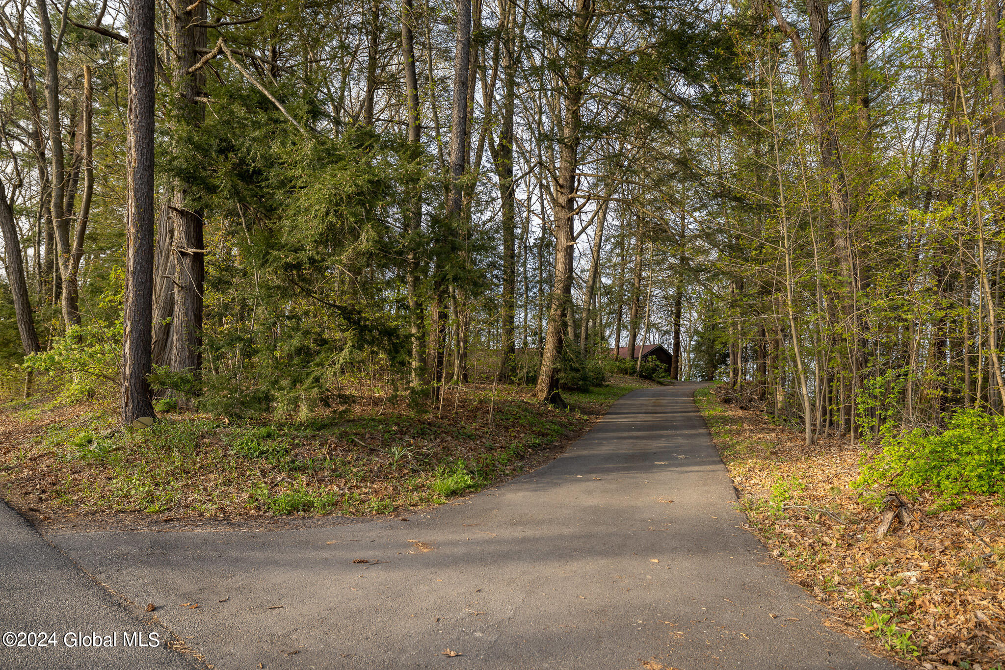 86 Koonz Road New Scotland, NY 12186 - Photo 59 of 62 IMG_2717-Edit