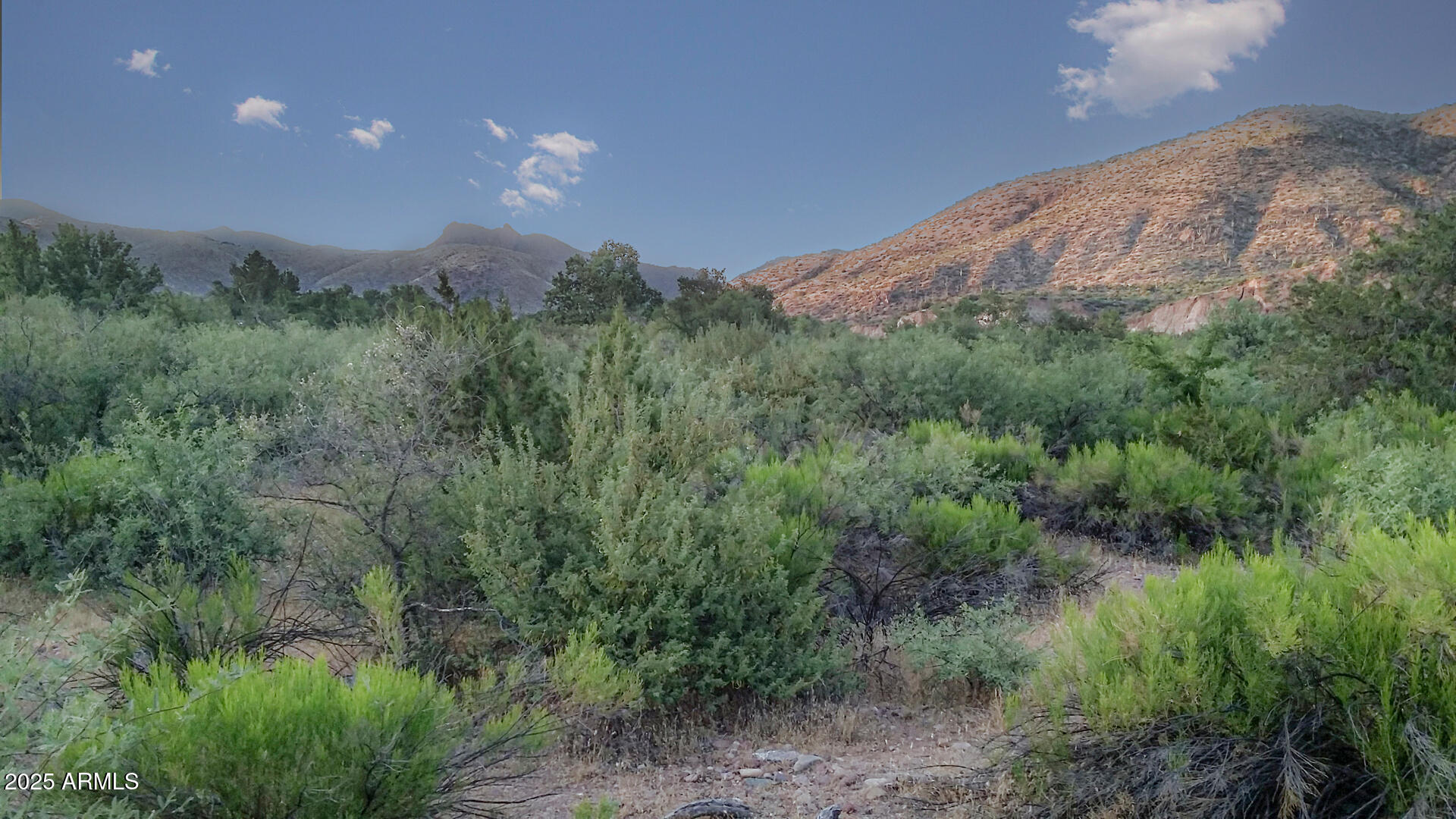 992-998 South Sycamore Street Payson, AZ 85541 - Photo 39 of 72 Landscape Mountains 2