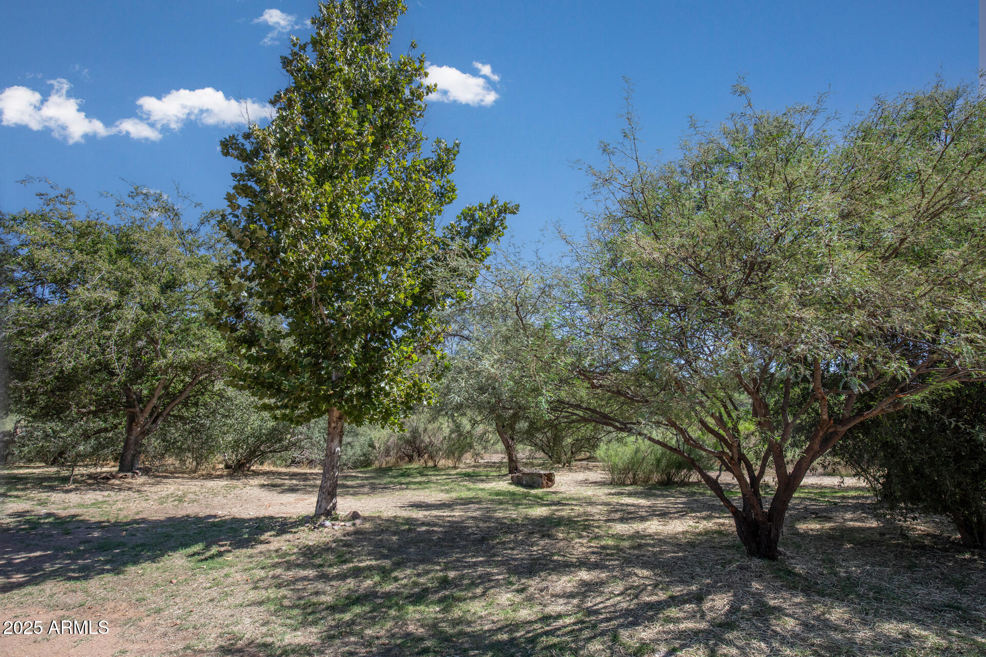 992-998 South Sycamore Street Payson, AZ 85541 - Photo 42 of 72 T1 Park