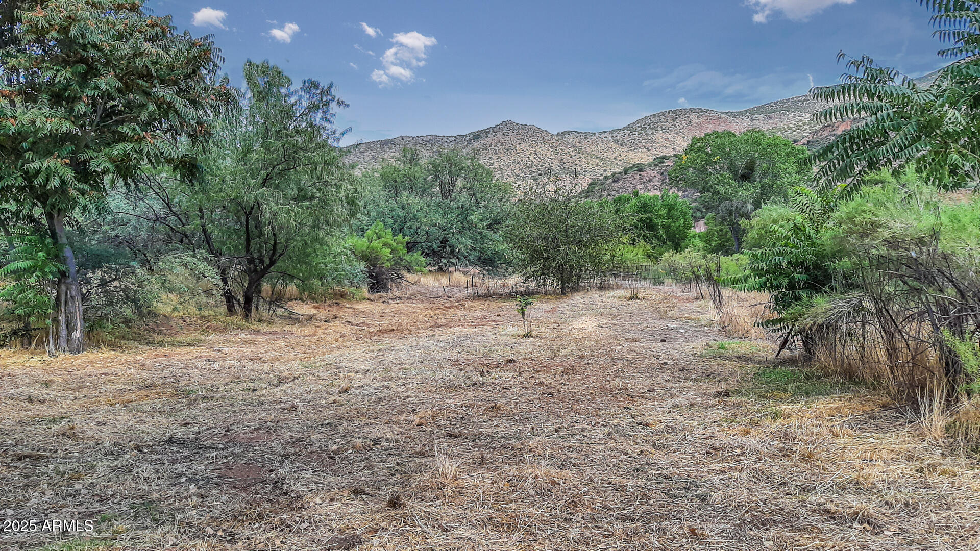 992-998 South Sycamore Street Payson, AZ 85541 - Photo 56 of 72 SW Area