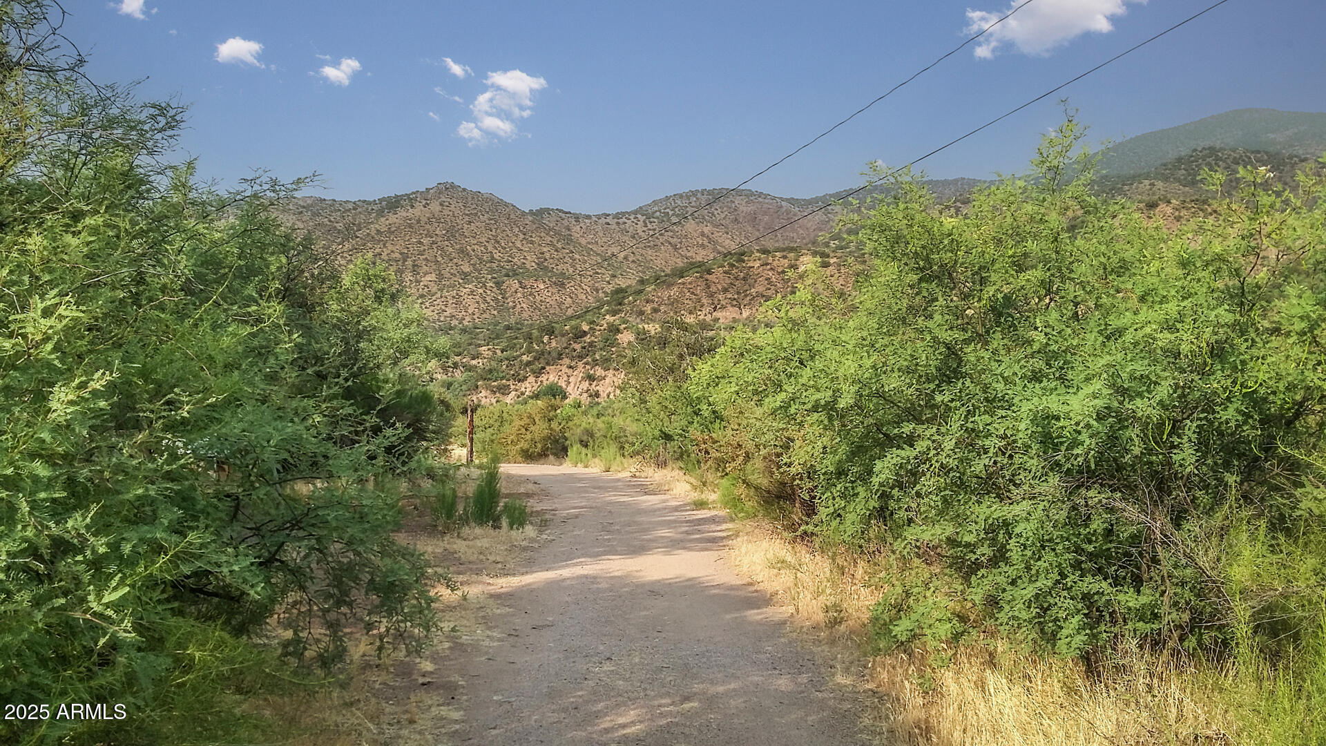992-998 South Sycamore Street Payson, AZ 85541 - Photo 6 of 72 Landscape Driveway