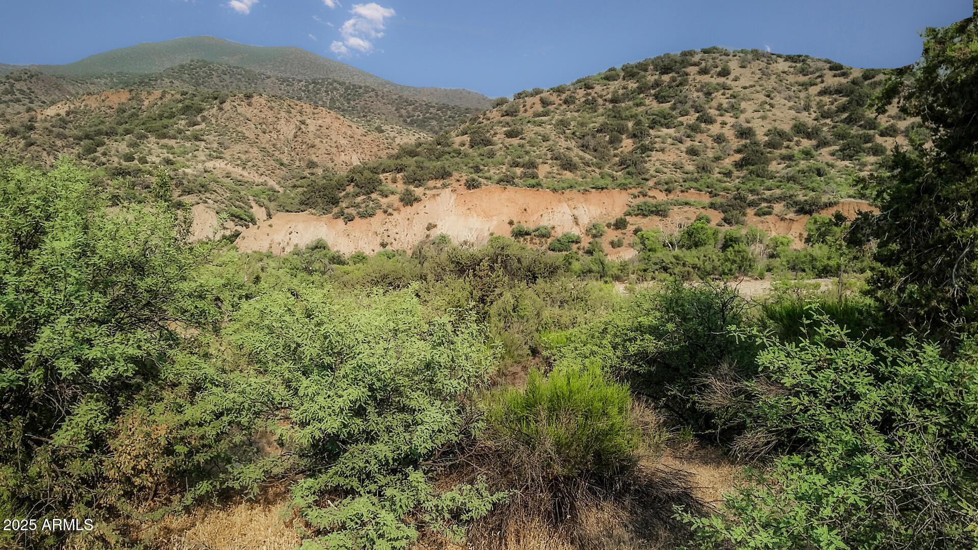 992-998 South Sycamore Street Payson, AZ 85541 - Photo 63 of 72 Landscape Mountains 1