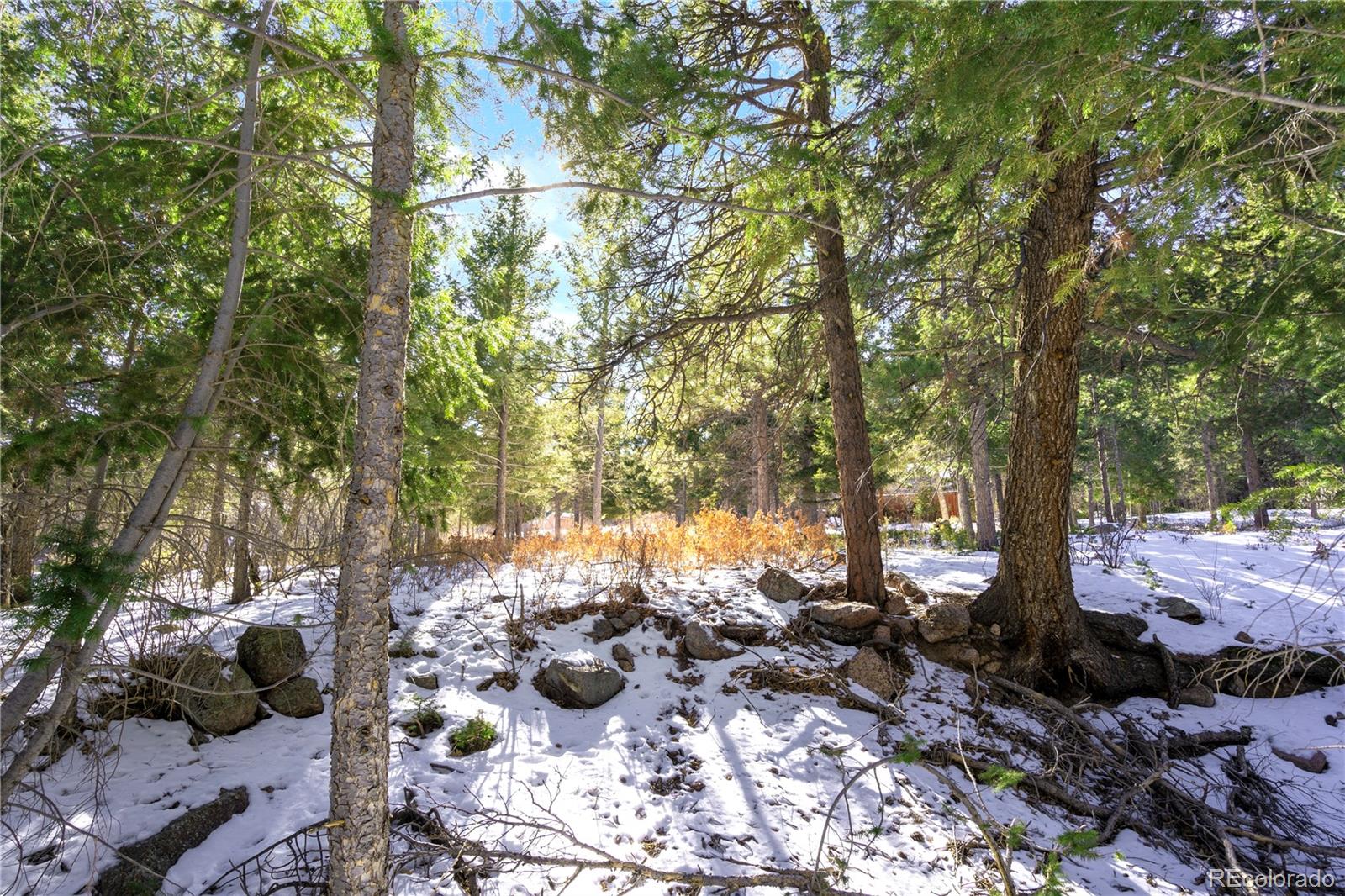 0 Rock Ridge Road Palmer Lake, CO 80133 - Photo 1 of 8 Gallery Image 1