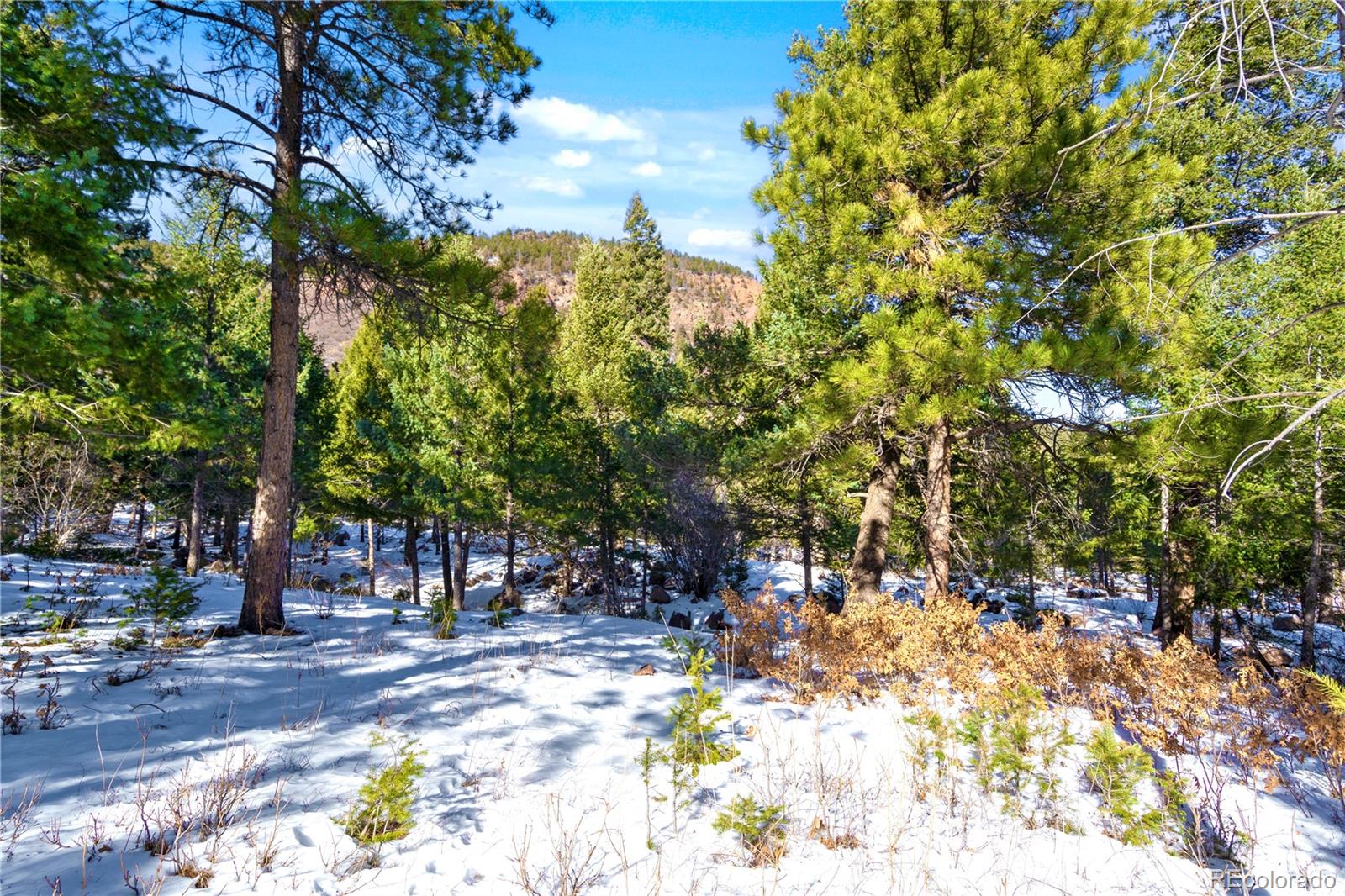 0 Rock Ridge Road Palmer Lake, CO 80133 - Photo 5 of 8 Gallery Image 5