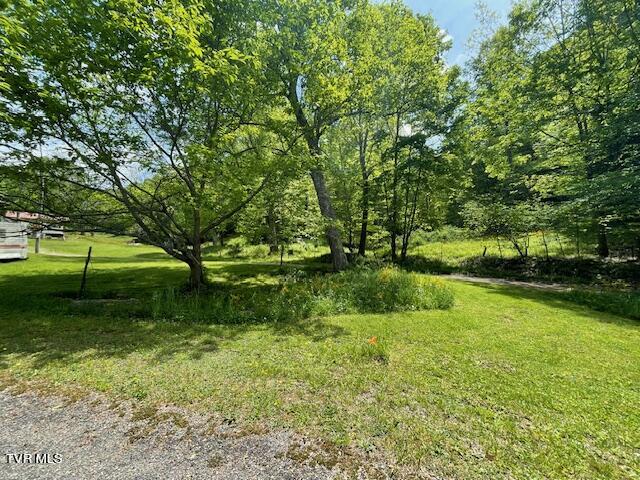 5 Greer Road Mountain City, TN 37683 - Photo 13 of 29 IMG_4368