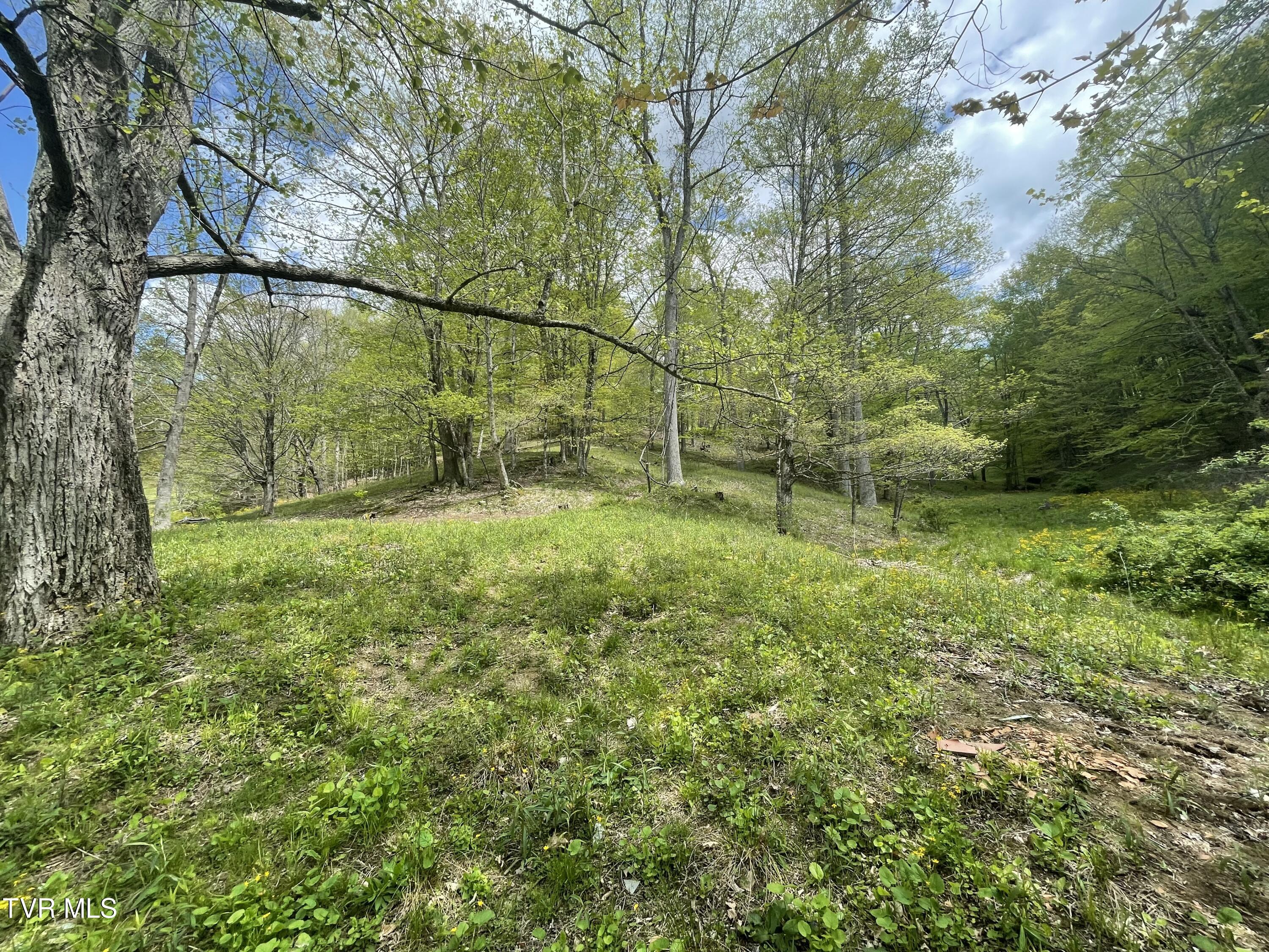 5 Greer Road Mountain City, TN 37683 - Photo 14 of 29 IMG_4206