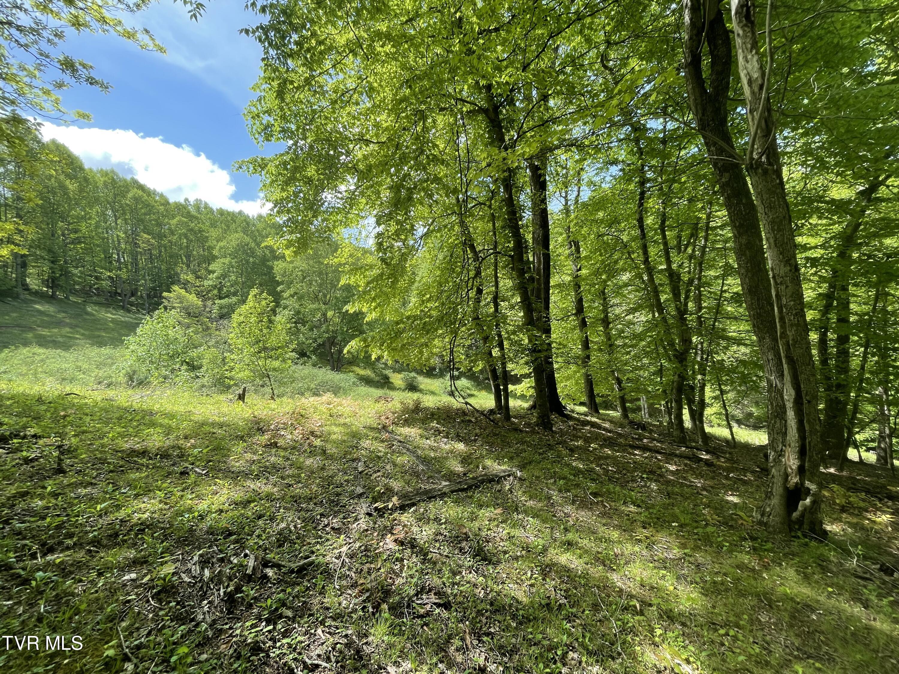 5 Greer Road Mountain City, TN 37683 - Photo 15 of 29 IMG_4349