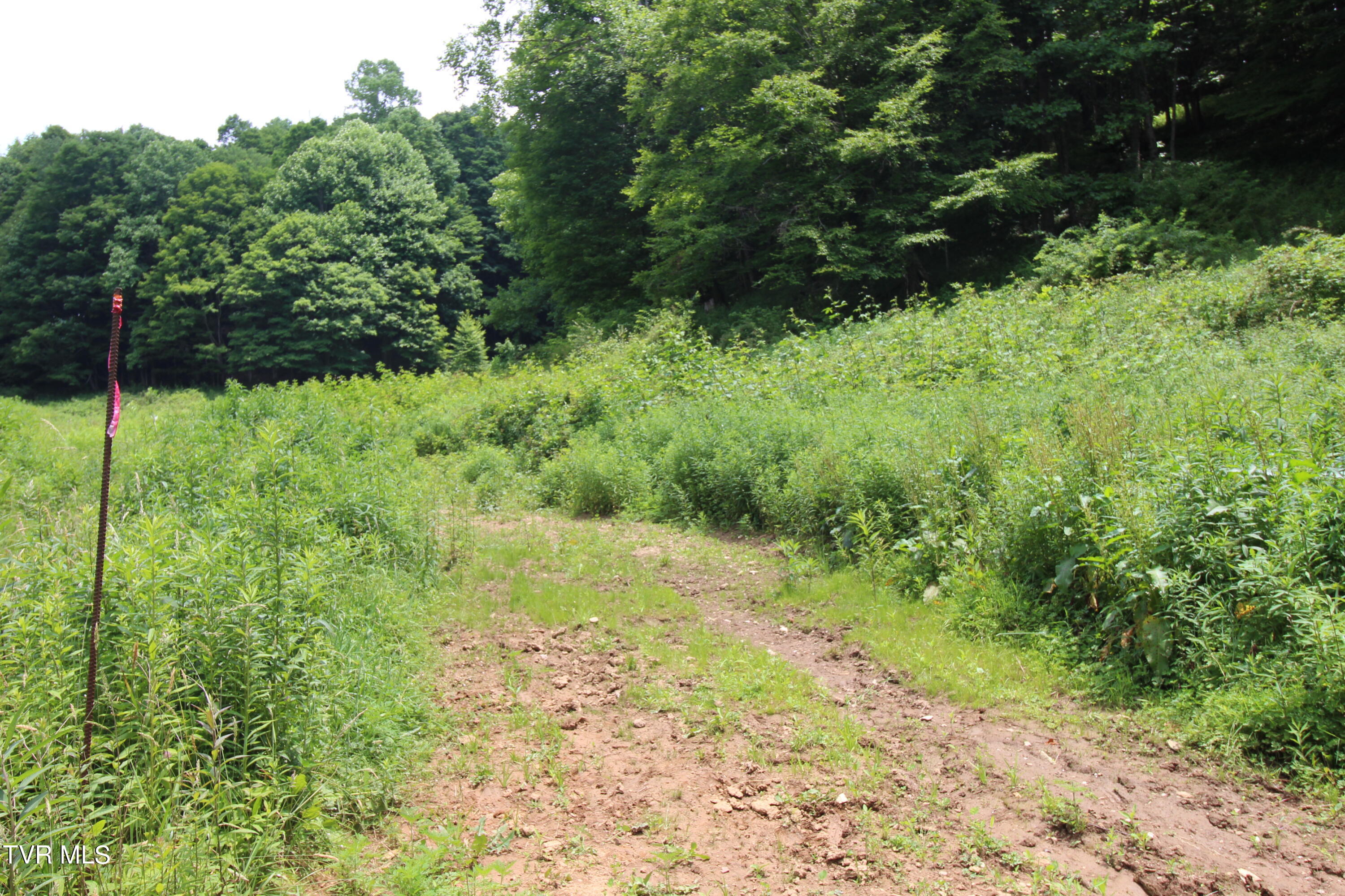 5 Greer Road Mountain City, TN 37683 - Photo 18 of 29 IMG_3859
