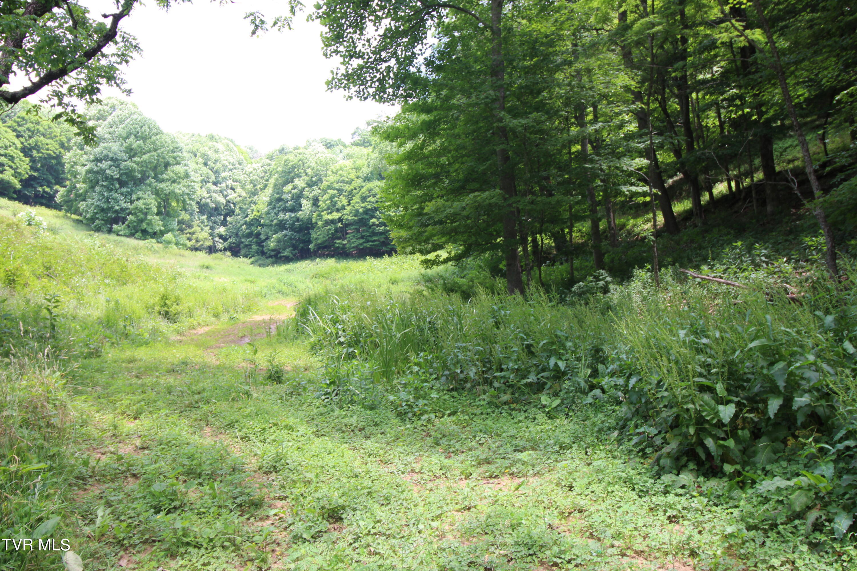 5 Greer Road Mountain City, TN 37683 - Photo 20 of 29 IMG_3855