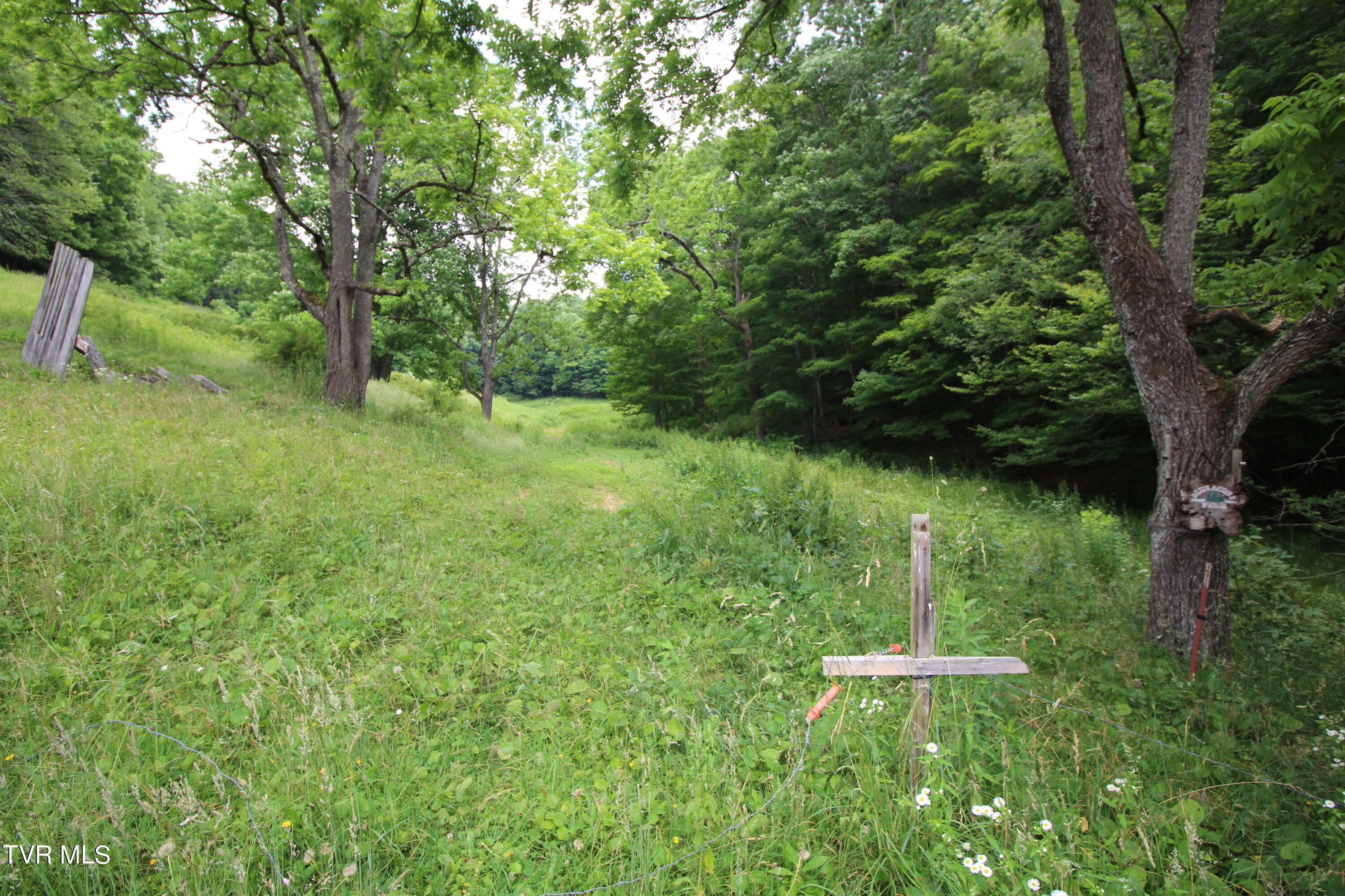 5 Greer Road Mountain City, TN 37683 - Photo 22 of 29 IMG_3851