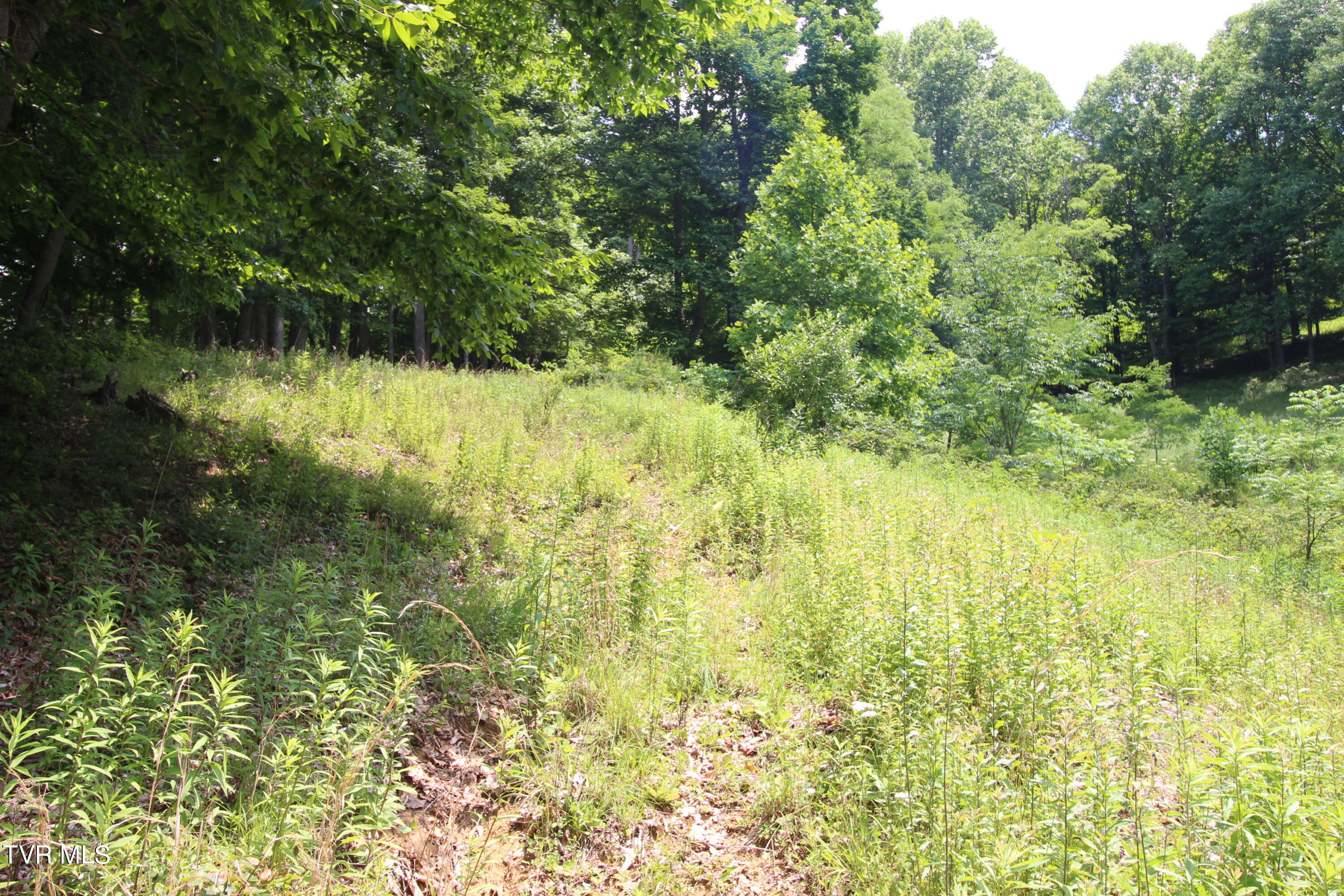 5 Greer Road Mountain City, TN 37683 - Photo 23 of 29 IMG_3846