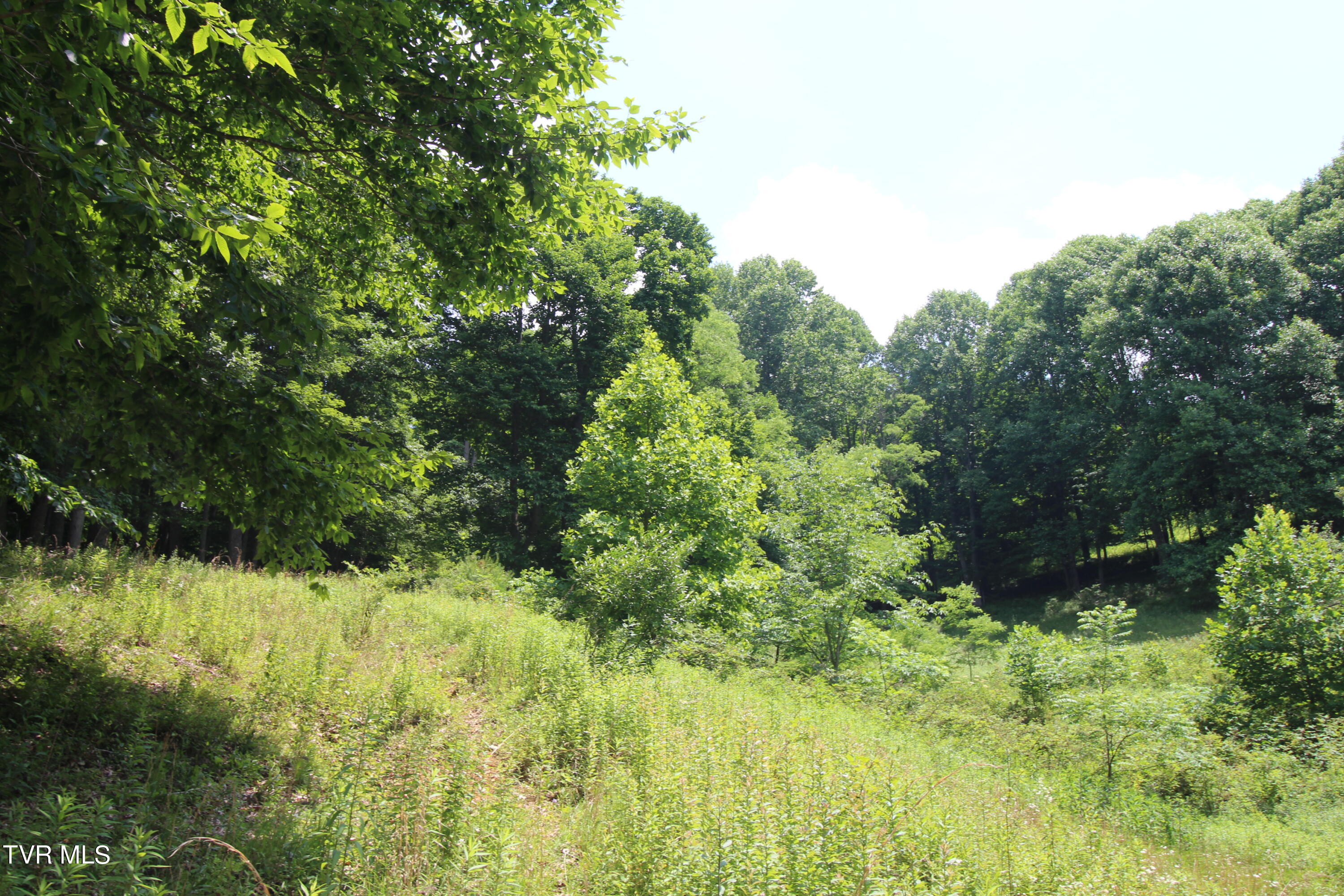 5 Greer Road Mountain City, TN 37683 - Photo 24 of 29 IMG_3847