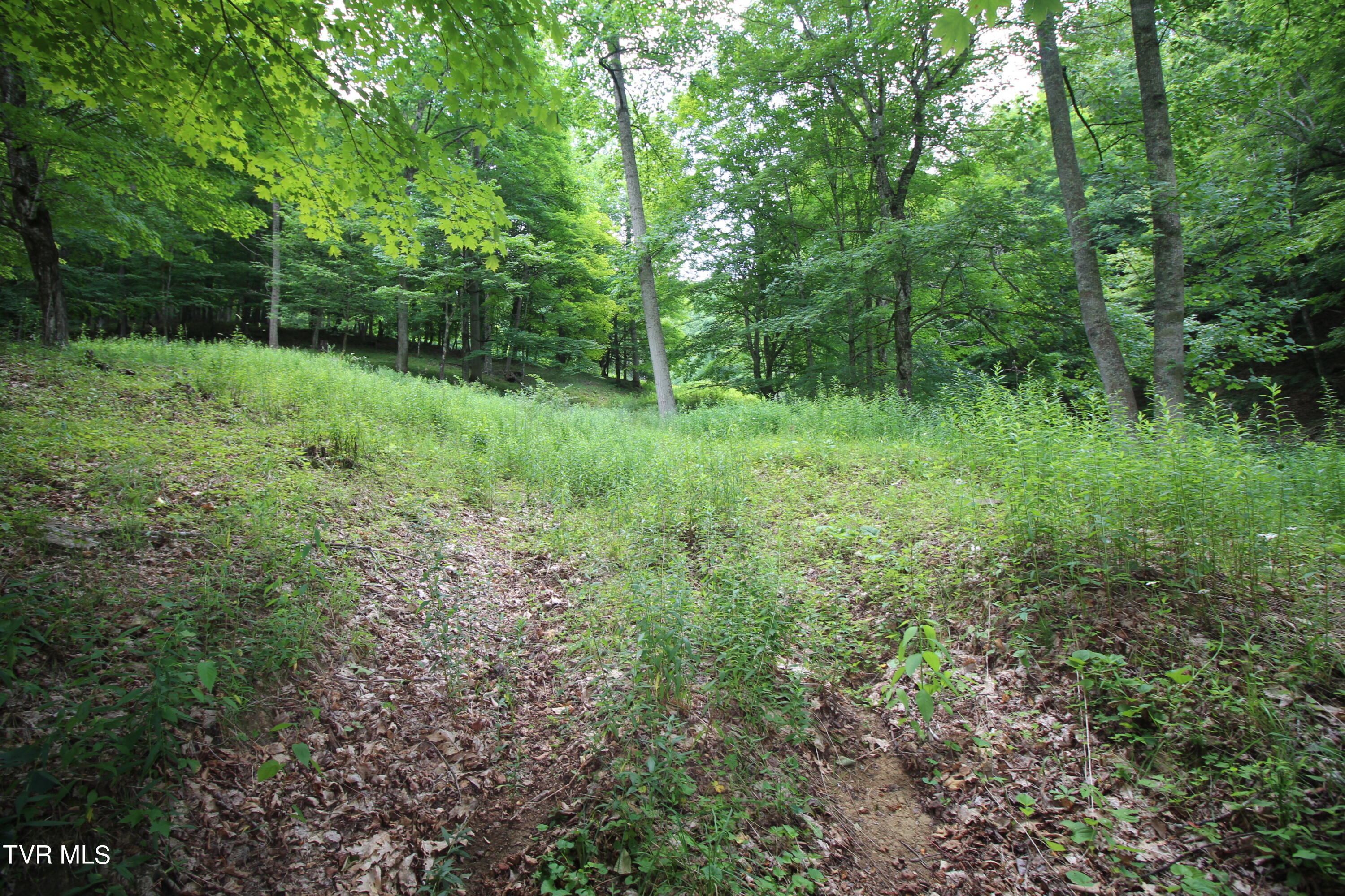 5 Greer Road Mountain City, TN 37683 - Photo 25 of 29 IMG_3845
