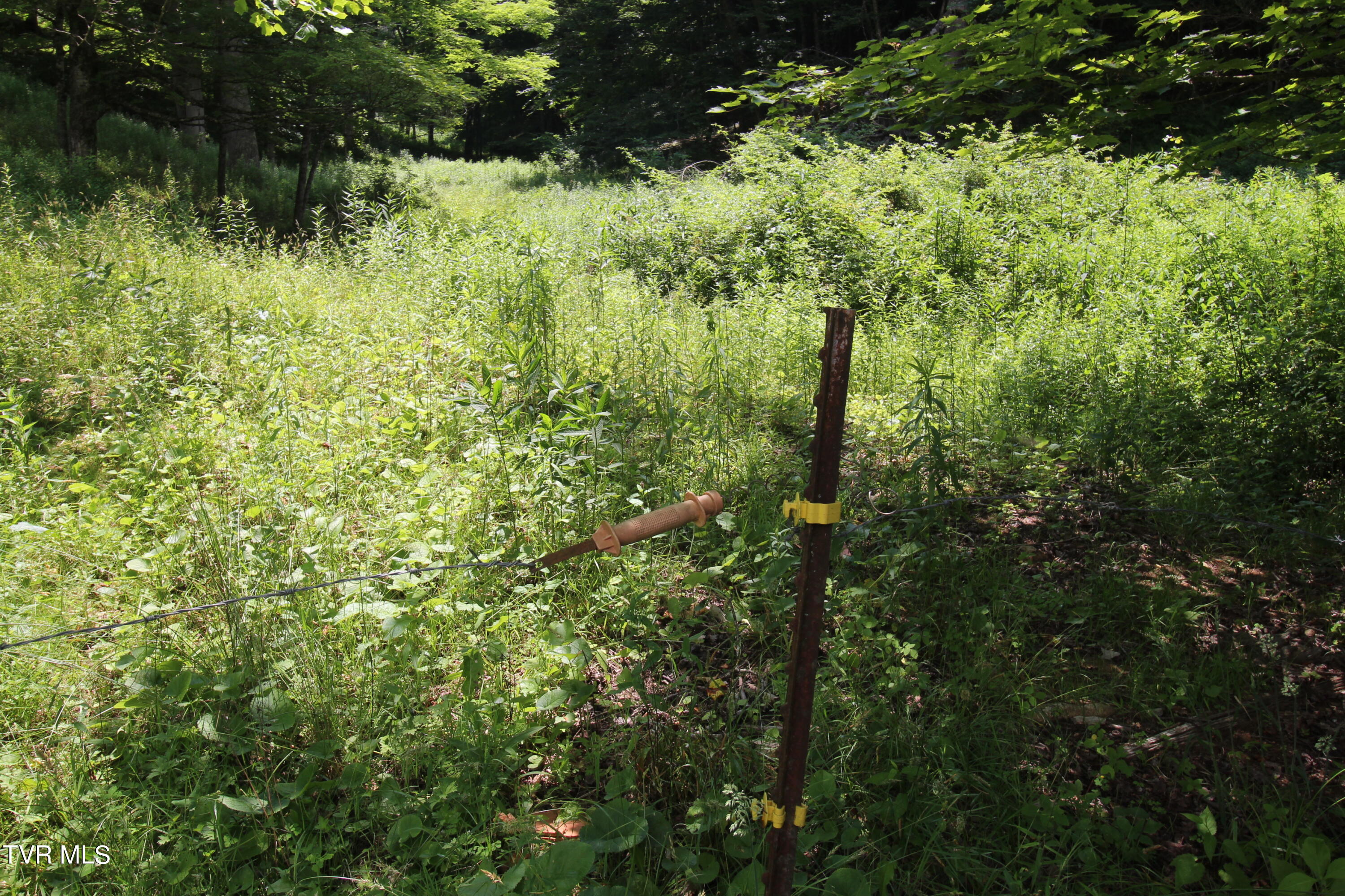 5 Greer Road Mountain City, TN 37683 - Photo 26 of 29 IMG_3841