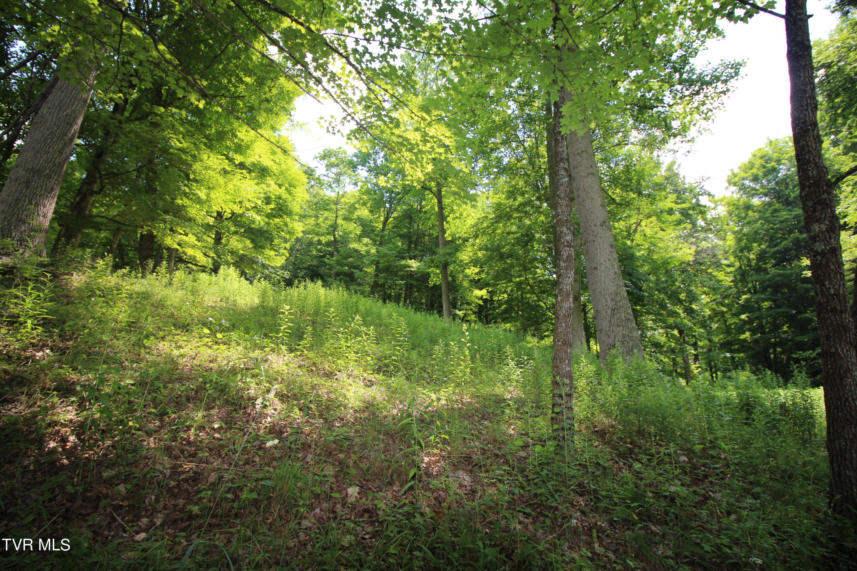 5 Greer Road Mountain City, TN 37683 - Photo 27 of 29 IMG_3842