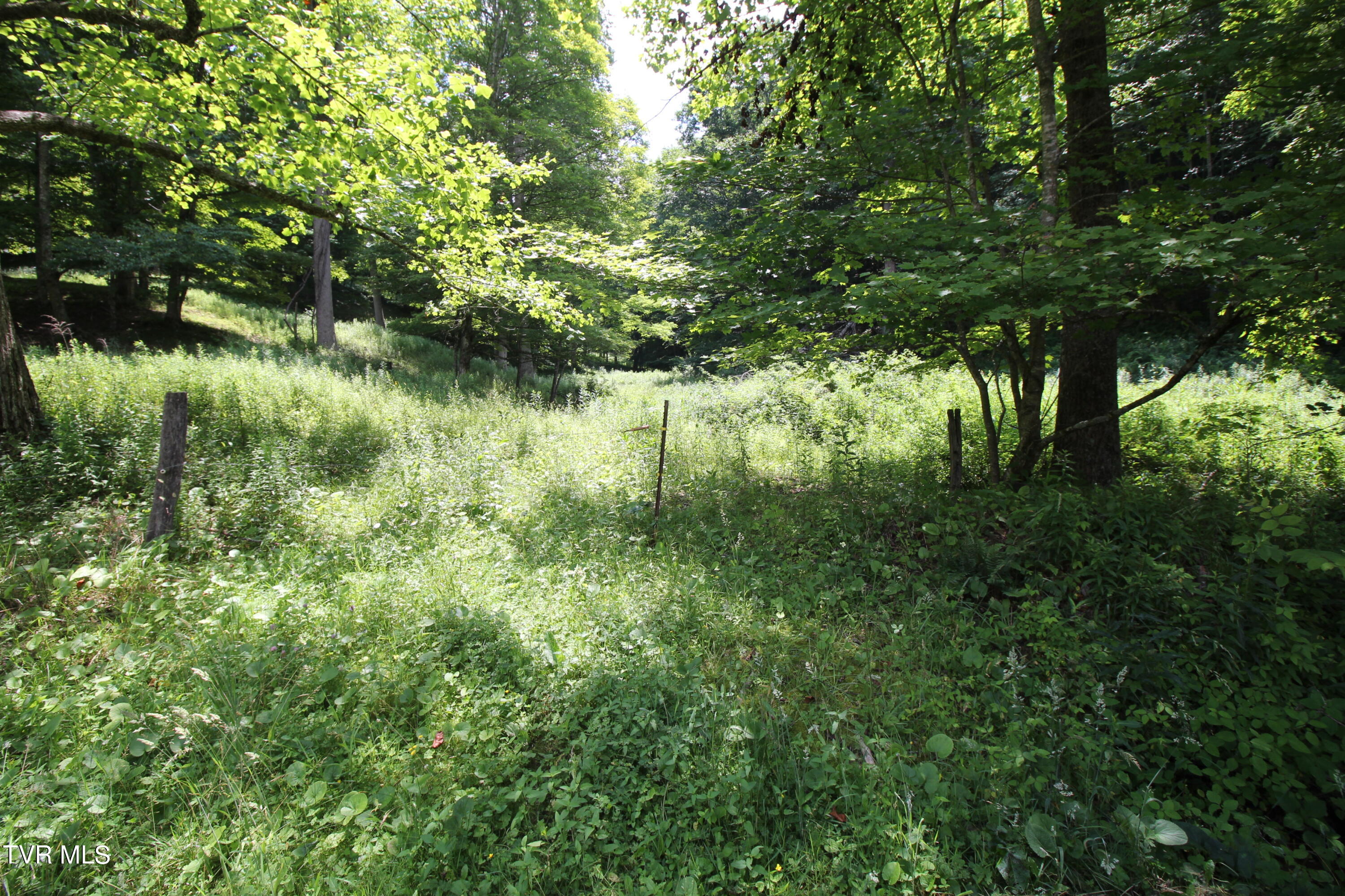 5 Greer Road Mountain City, TN 37683 - Photo 29 of 29 IMG_3839