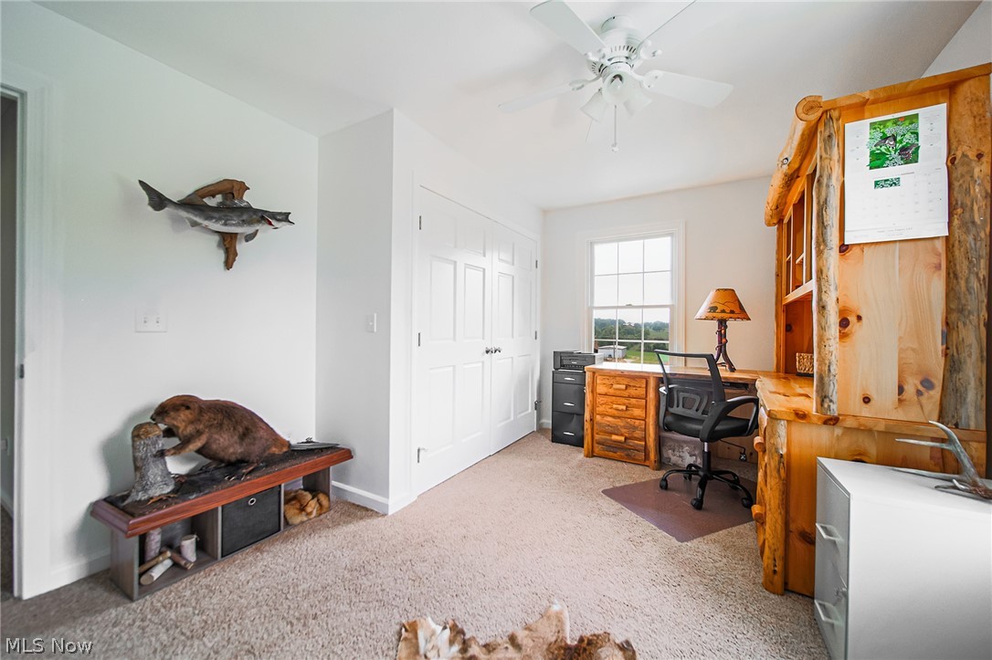 9554 Dover Road Apple Creek, OH 44606 - Photo 29 of 45 Home office with light colored carpet and a ceiling fan