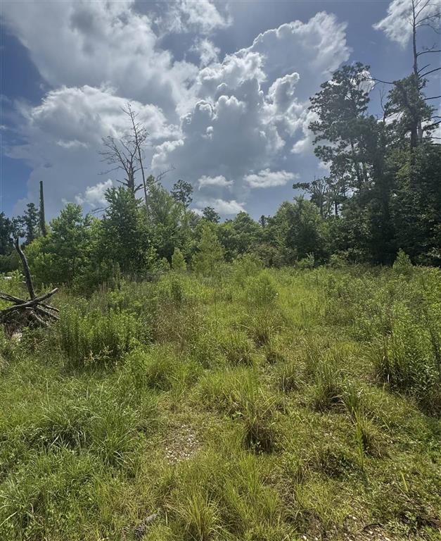 3740-3822 Dunn Ferry Road Lake Charles, LA 70611 - Photo 2 of 3