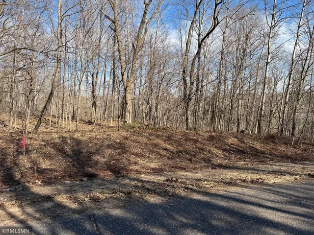 $34,110 | Lot 1 Wilderness Hills Lane, Luck, WI 54853