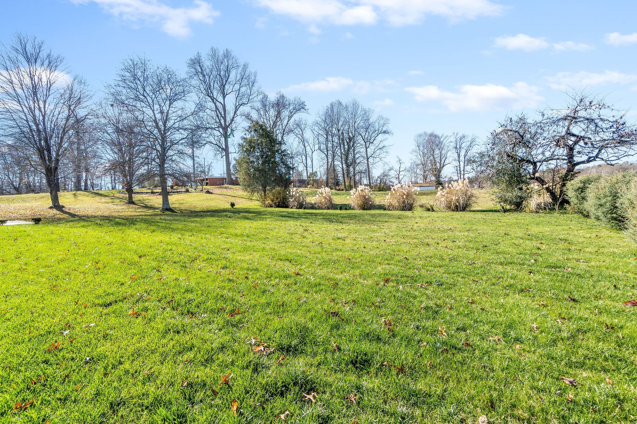 2214 Roanoke Road Clarksville, TN 37043 - Photo 47 of 53 Gallery Image 47