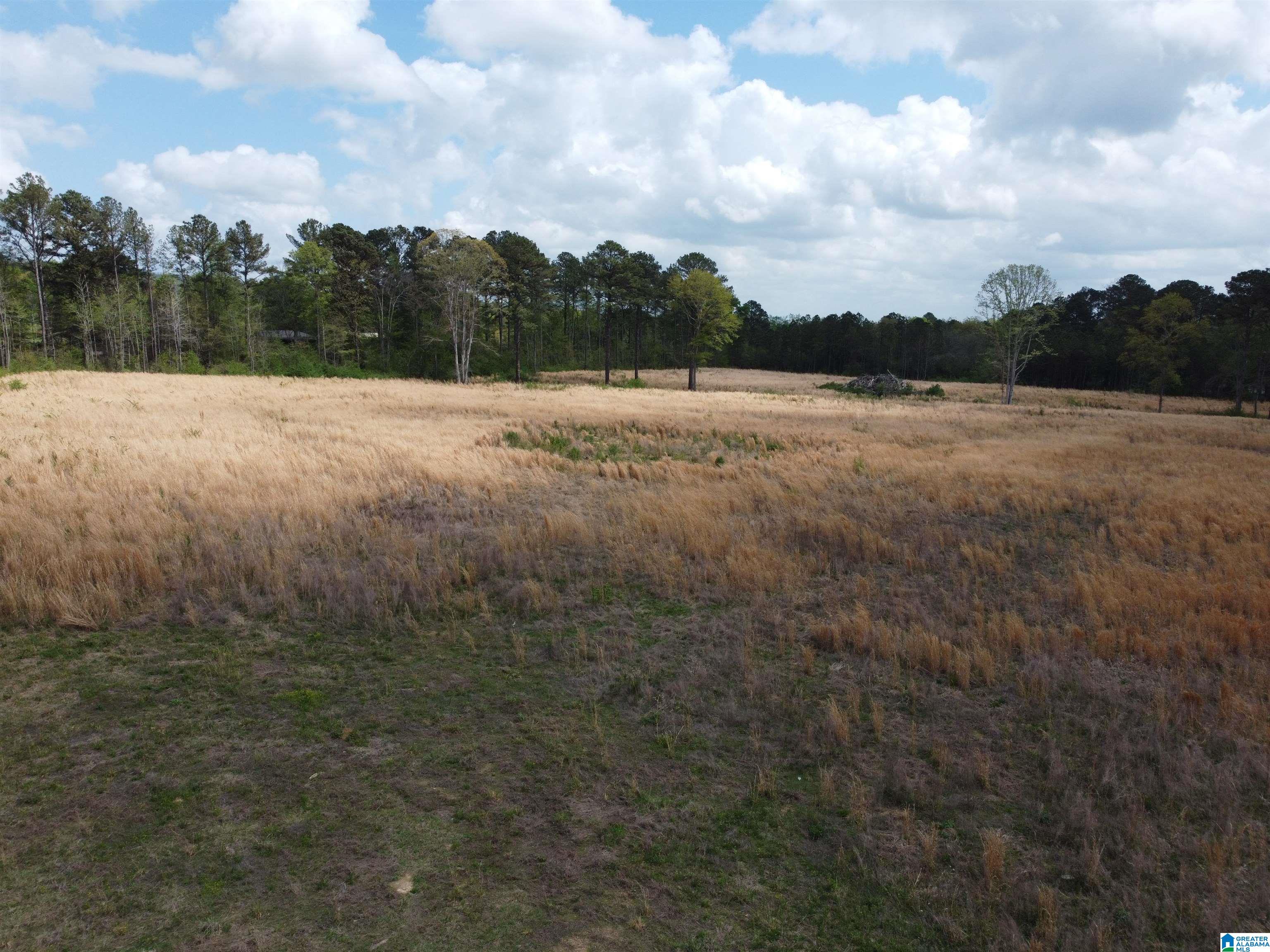 0 Greensport Road Ashville, AL 35953 - Photo 20 of 43