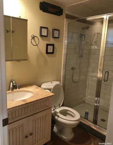 a bathroom with a toilet sink vanity and shower