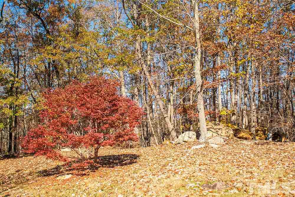 1854 Dhay Burrell Stewart Road Roxboro, NC 27574 - Photo 6 of 12