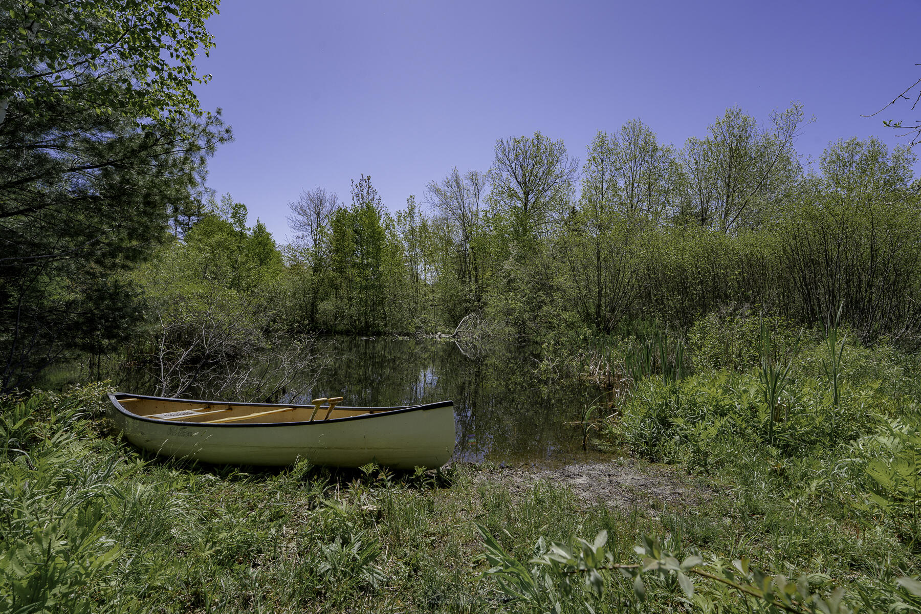 2208 Friendship Road Waldoboro, ME 04572 - Photo 61 of 76 Pond