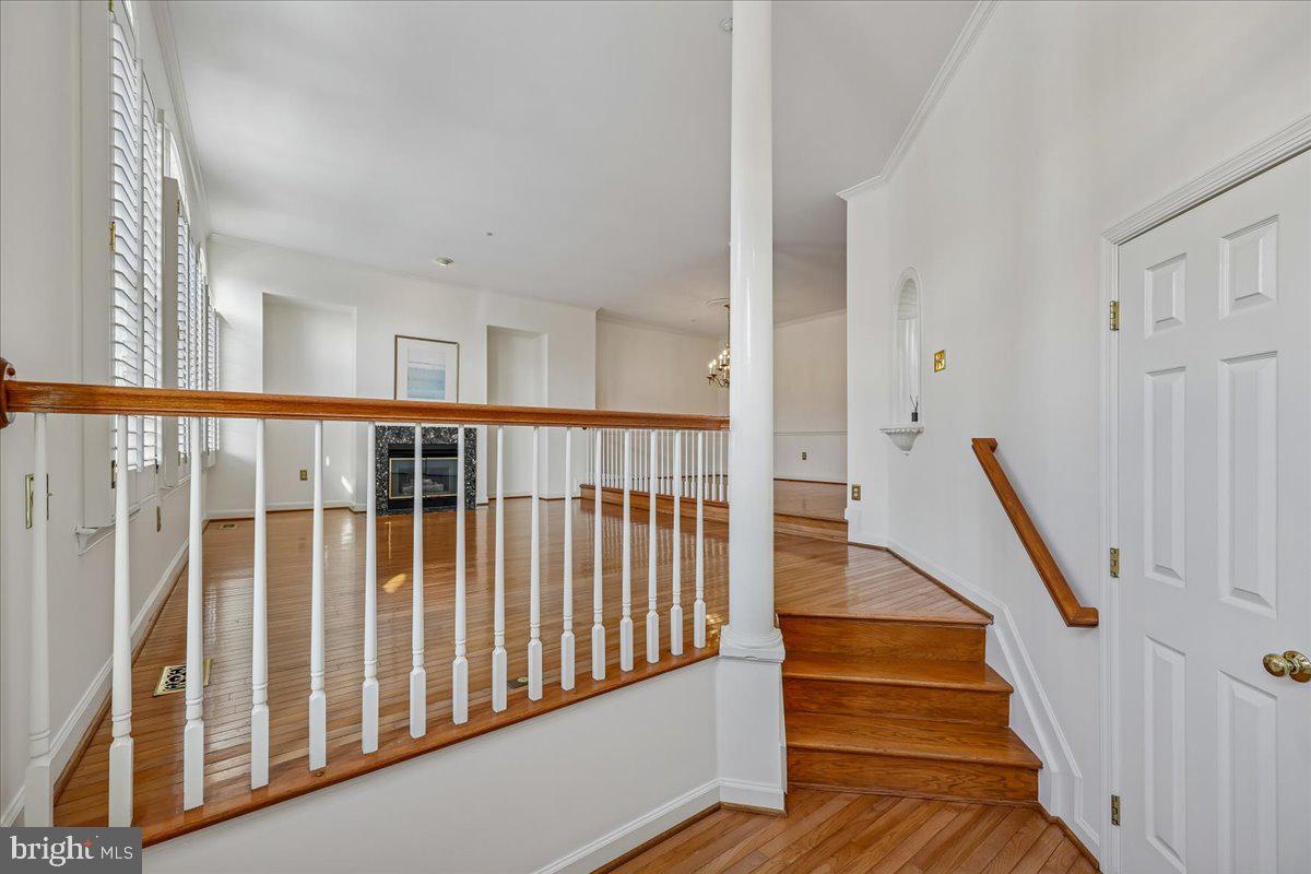 11417 Cedar Ridge Drive Potomac, MD 20854 - Photo 4 of 34