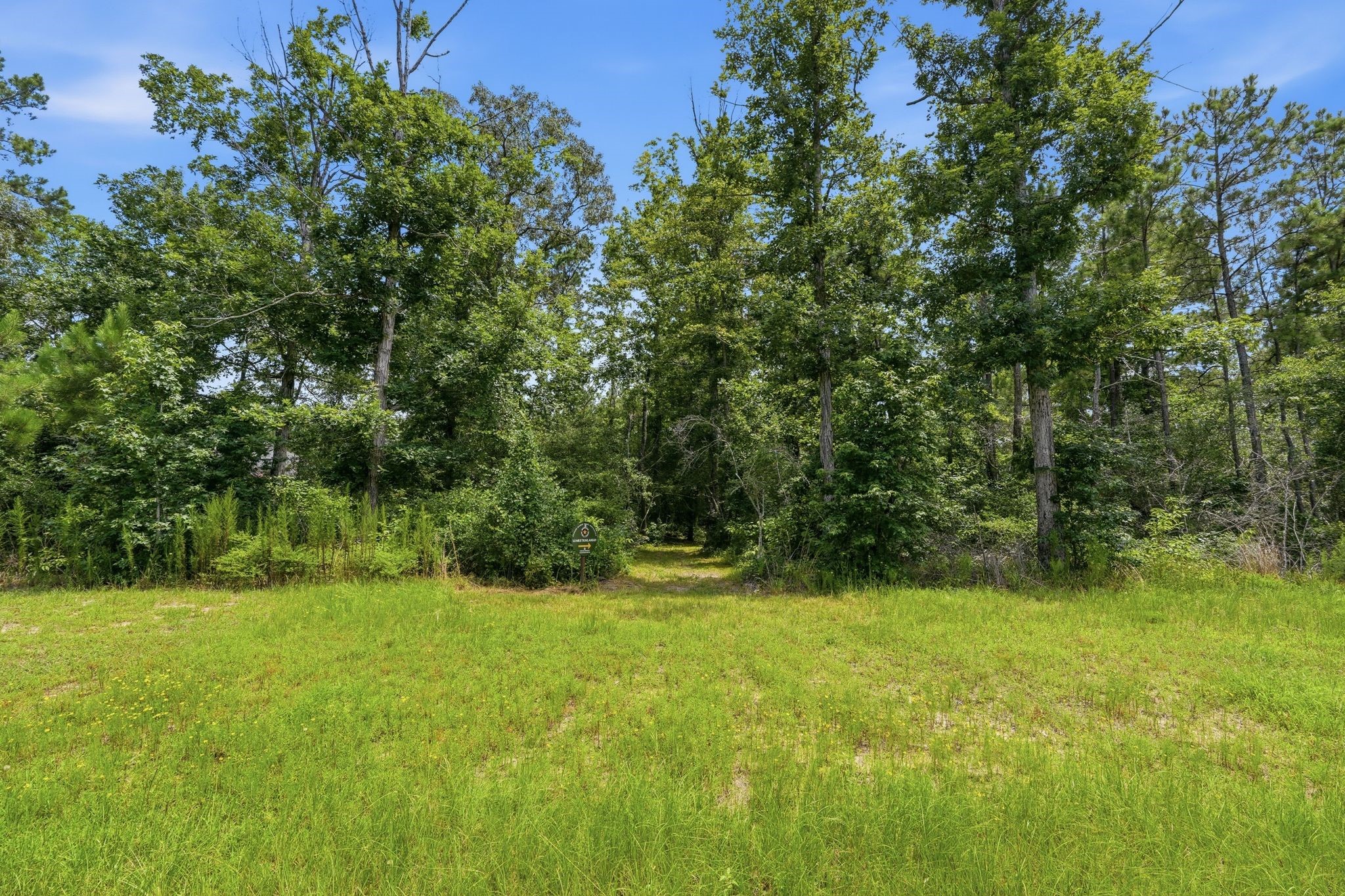 16222 Ridge Oak Road Willis, TX 77378 - Photo 12 of 32