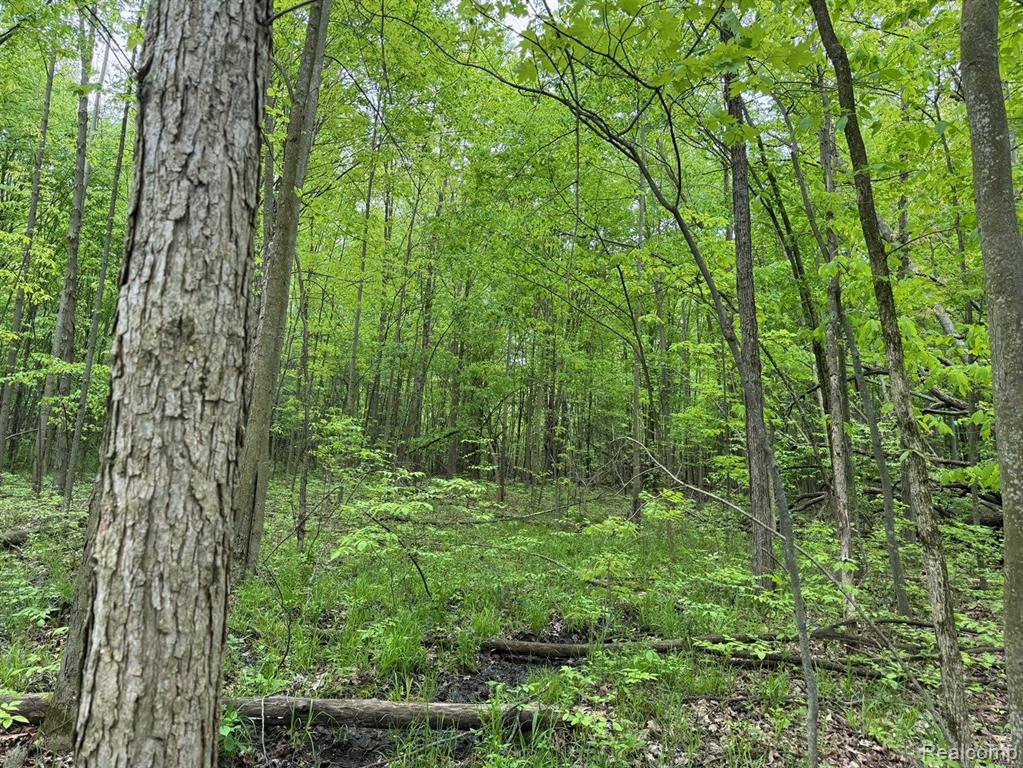0 Davison Road Oxford, MI 48371 - Photo 27 of 35