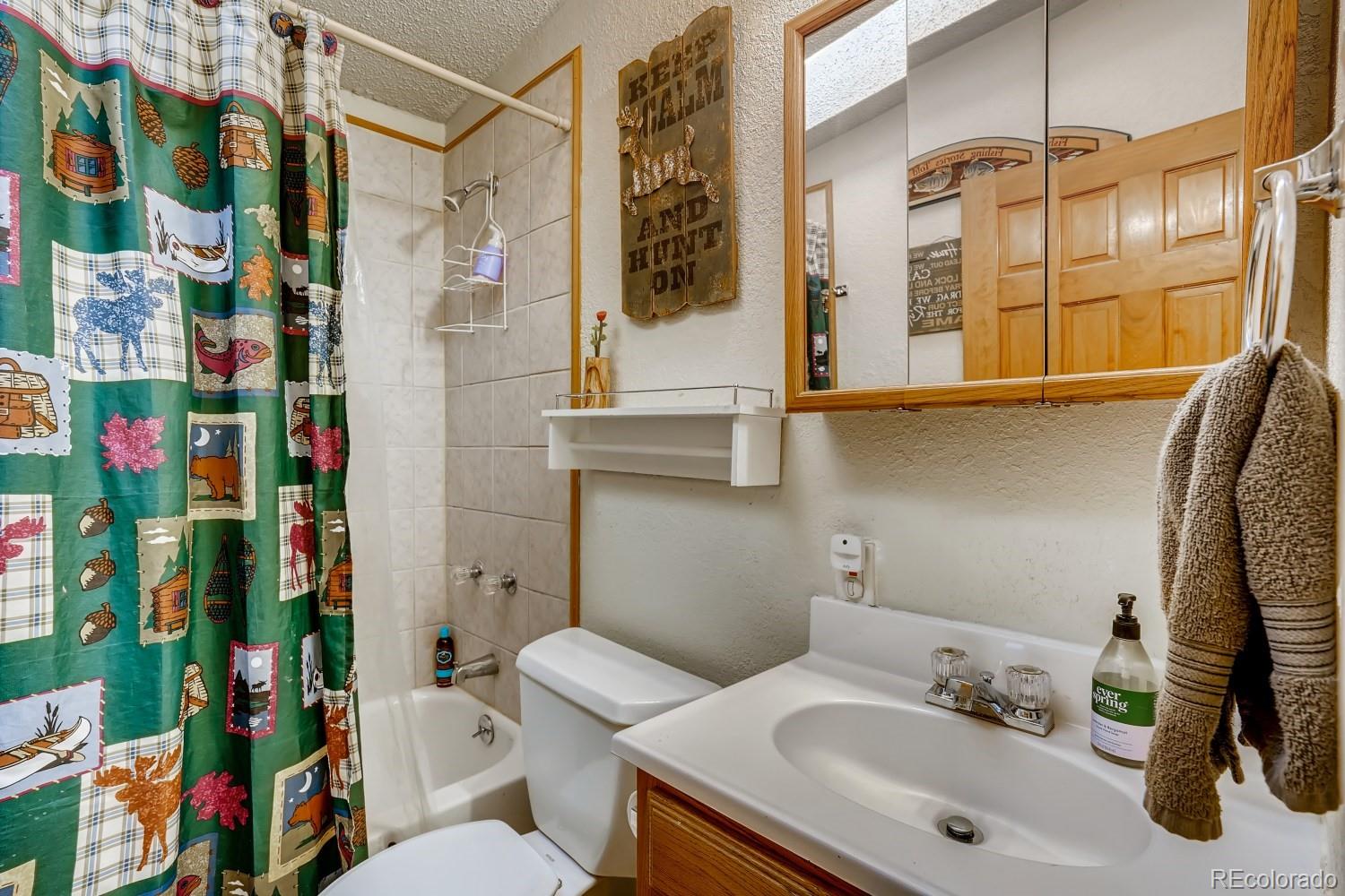 487 North Random Road Bailey, CO 80421 - Photo 21 of 28 a bathroom with a sink toilet and shower