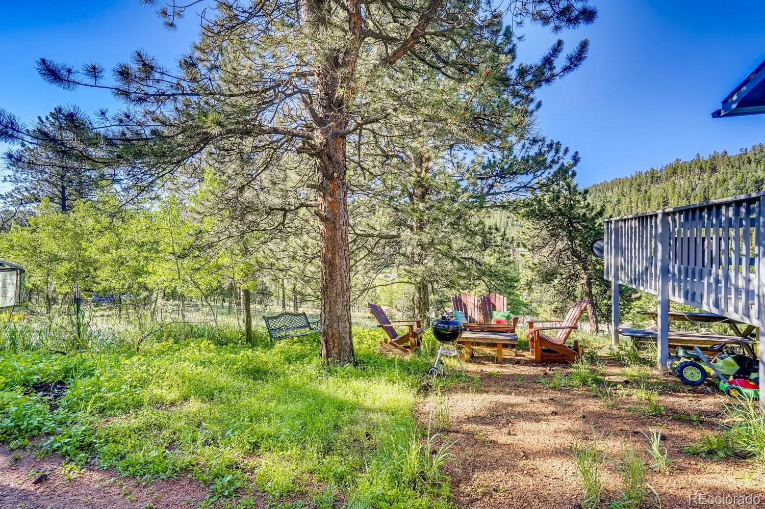 487 North Random Road Bailey, CO 80421 - Photo 24 of 28 a view of yard with tree
