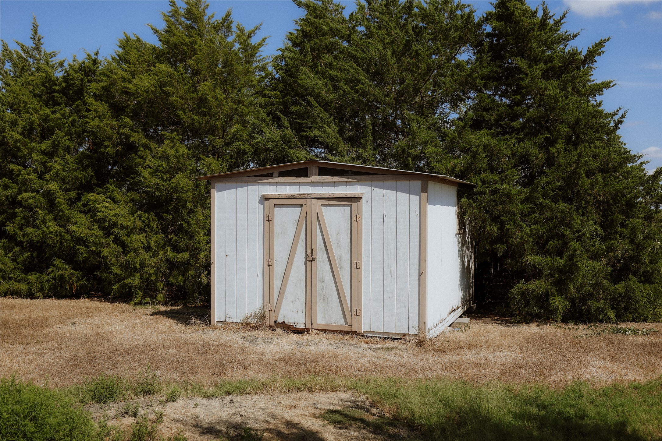 17323 Manda Carlson Road Manor, TX 78653 - Photo 25 of 29 A practical storage shed sits framed by mature evergreen trees in the backyard.