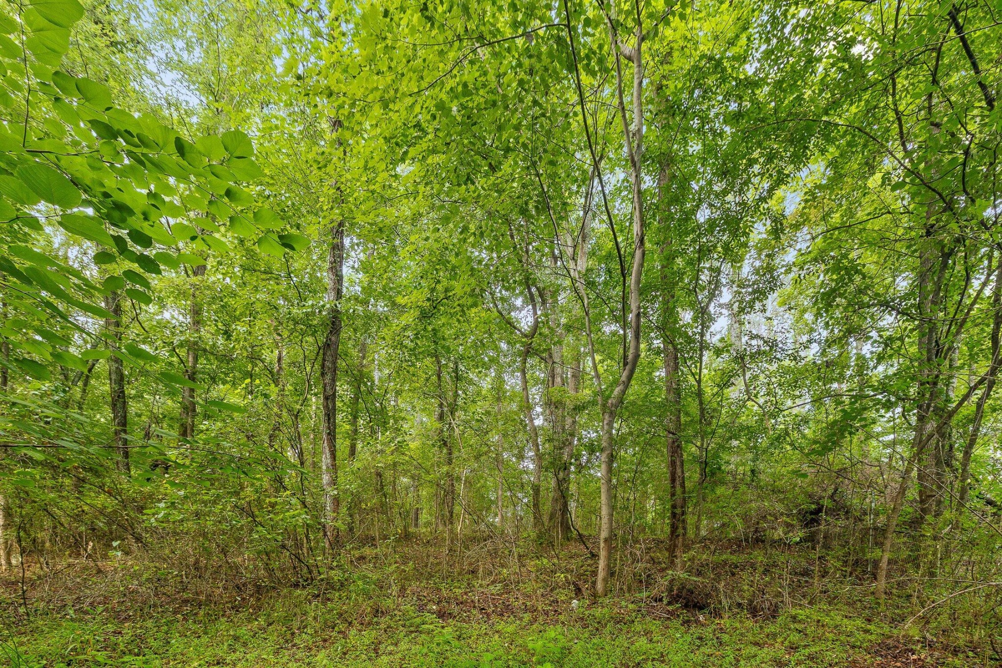 2727 Old Tilton Road Dalton, GA 30721 - Photo 7 of 43