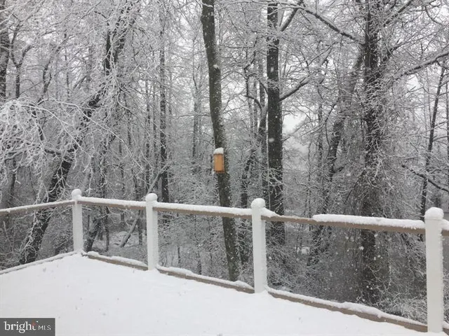 a view of a street with large trees