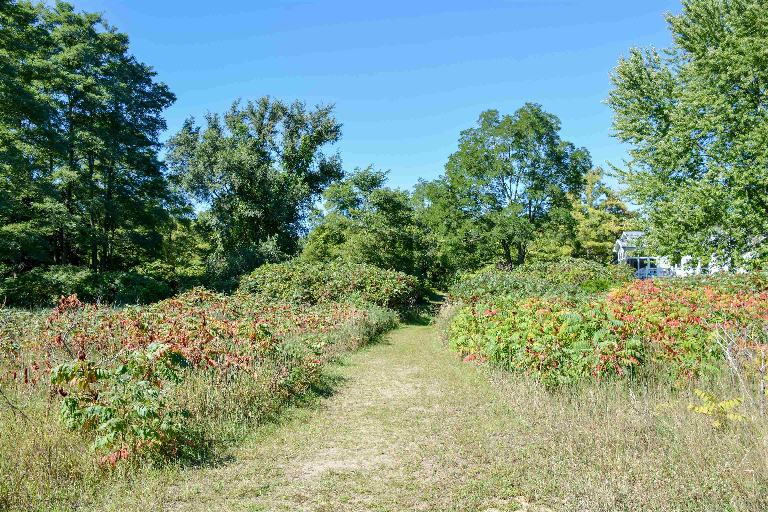 9649 Center Road Traverse City, MI 49686 - Photo 12 of 18 Gallery Image 12