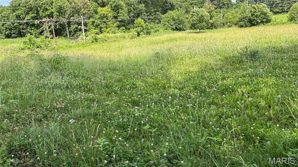 4002 Nation Road Salem, IL 62881 - Photo 23 of 36