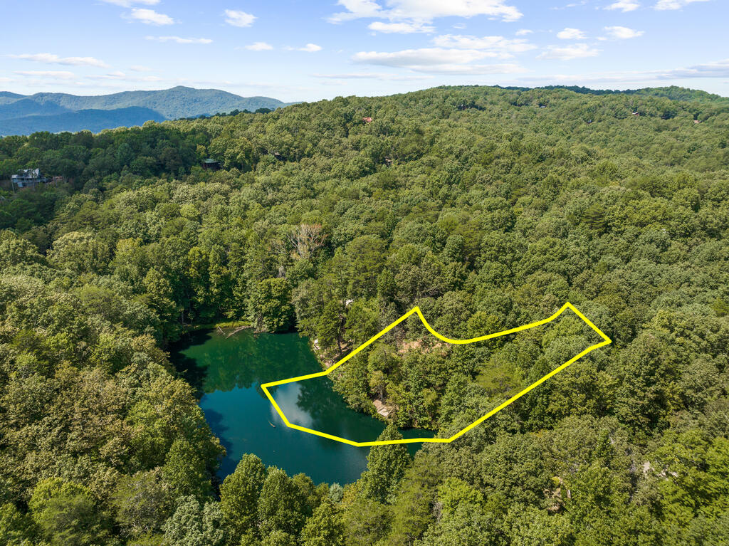 44-45 Overlook Drive Blue Ridge, GA 30513 - Photo 14 of 27 Gallery Image 14