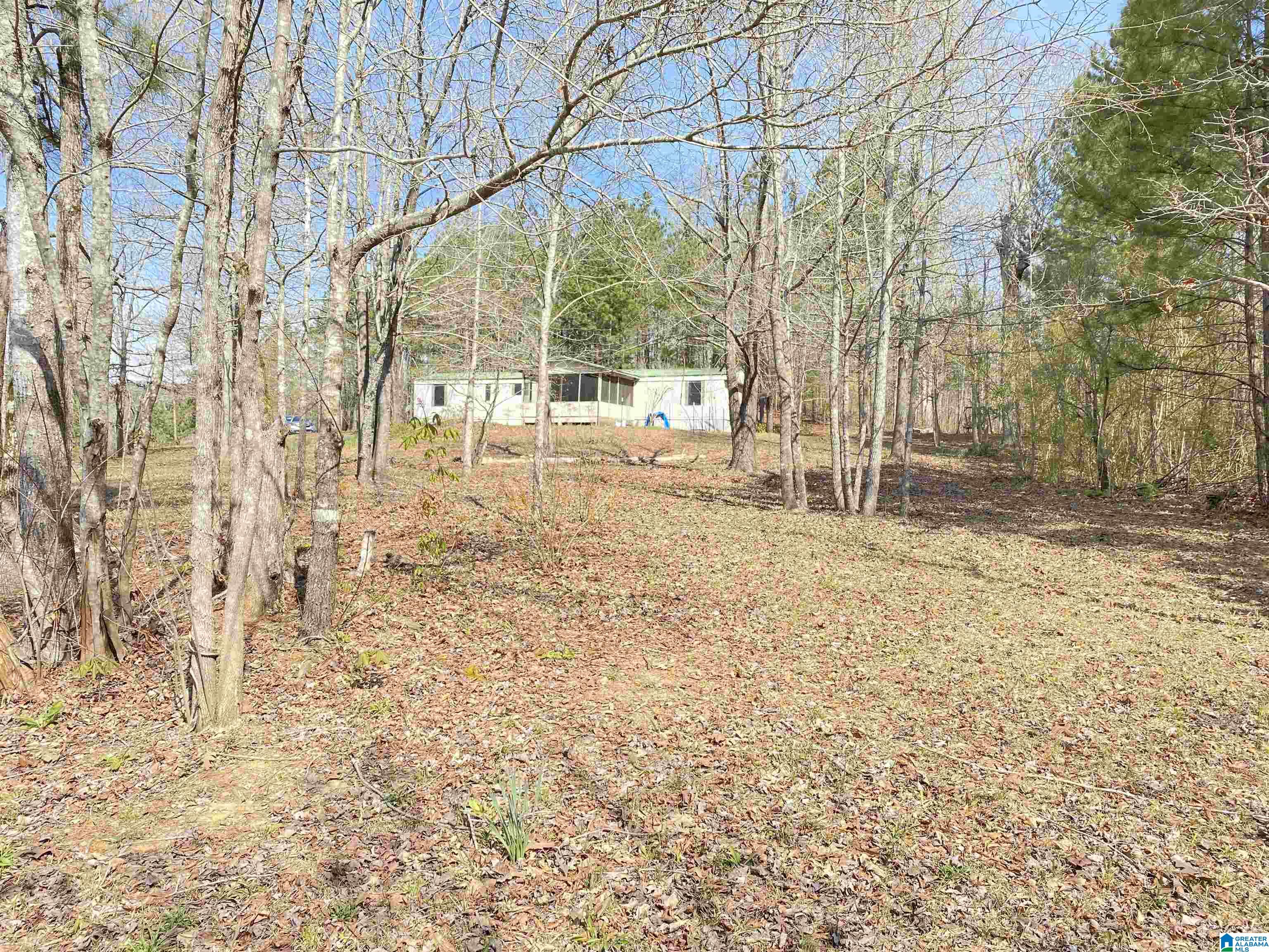 215 Journeys End Road Ashville, AL 35953 - Photo 5 of 37