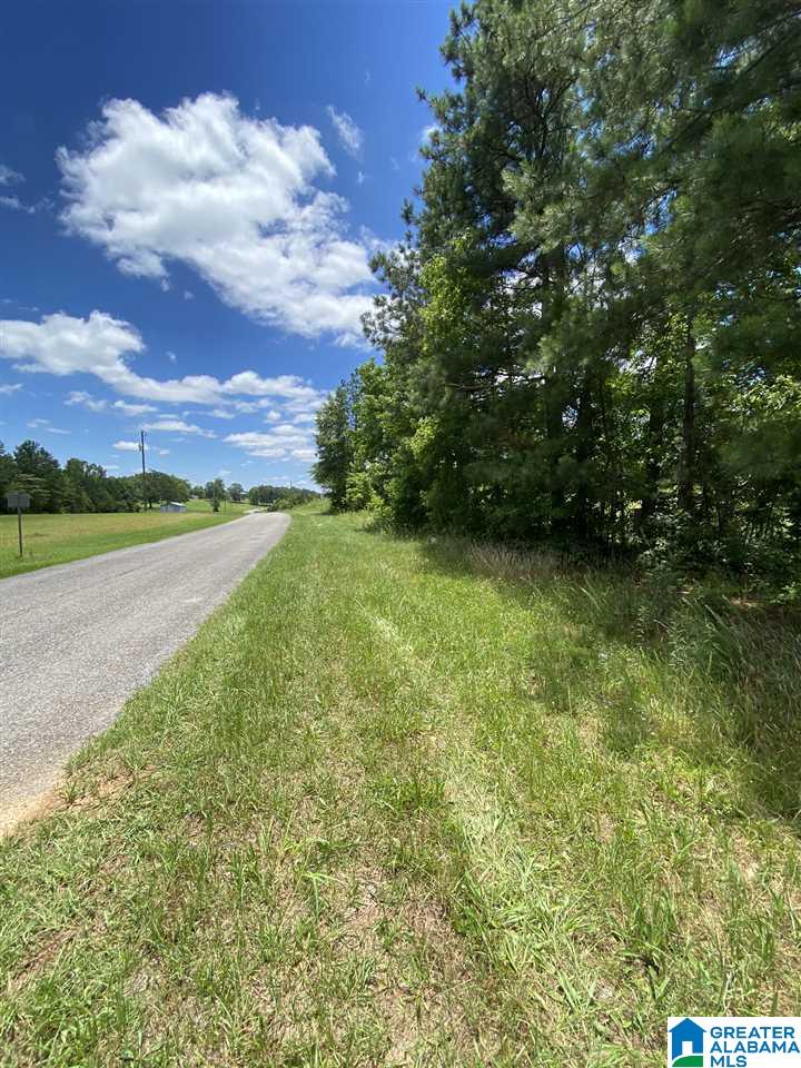 25 County Road, Unit 7 59 Woodland, AL 36280 - Photo 5 of 6
