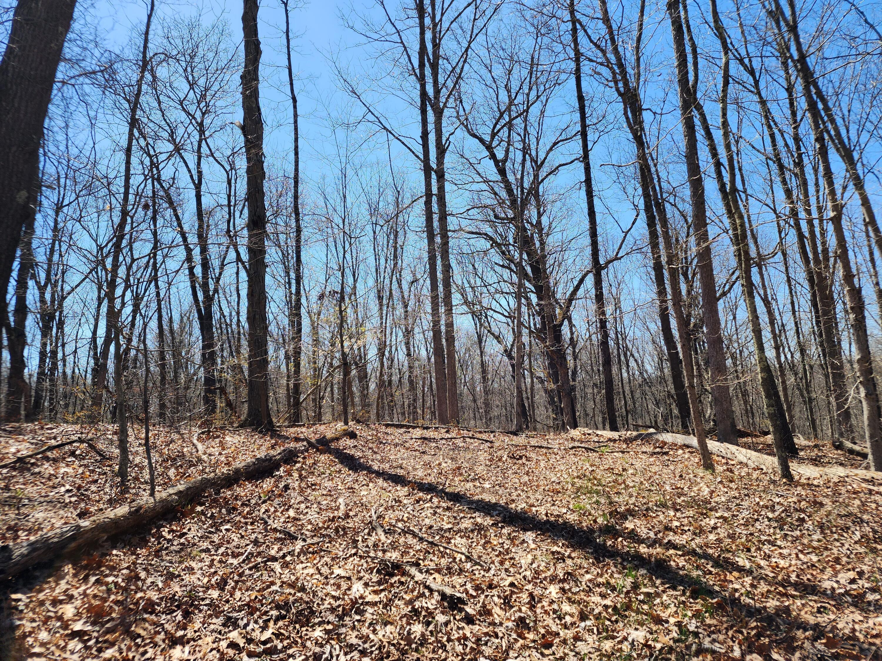0 Halleys Ridge Road Caldwell, OH 43724 - Photo 43 of 69 20230411_134112