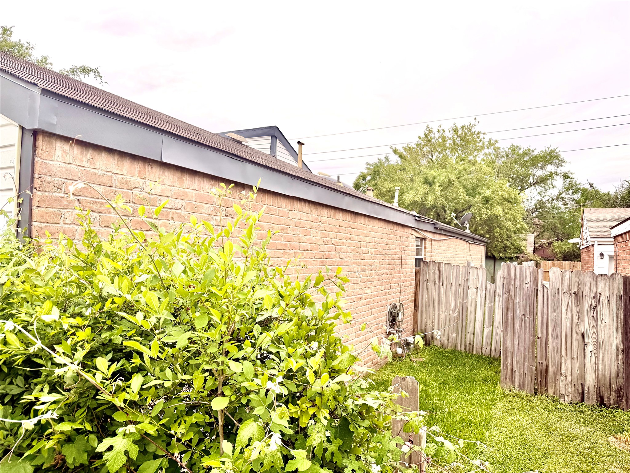 11635 Ridge Run Drive Houston, TX 77064 - Photo 20 of 20 a view of a backyard with plants